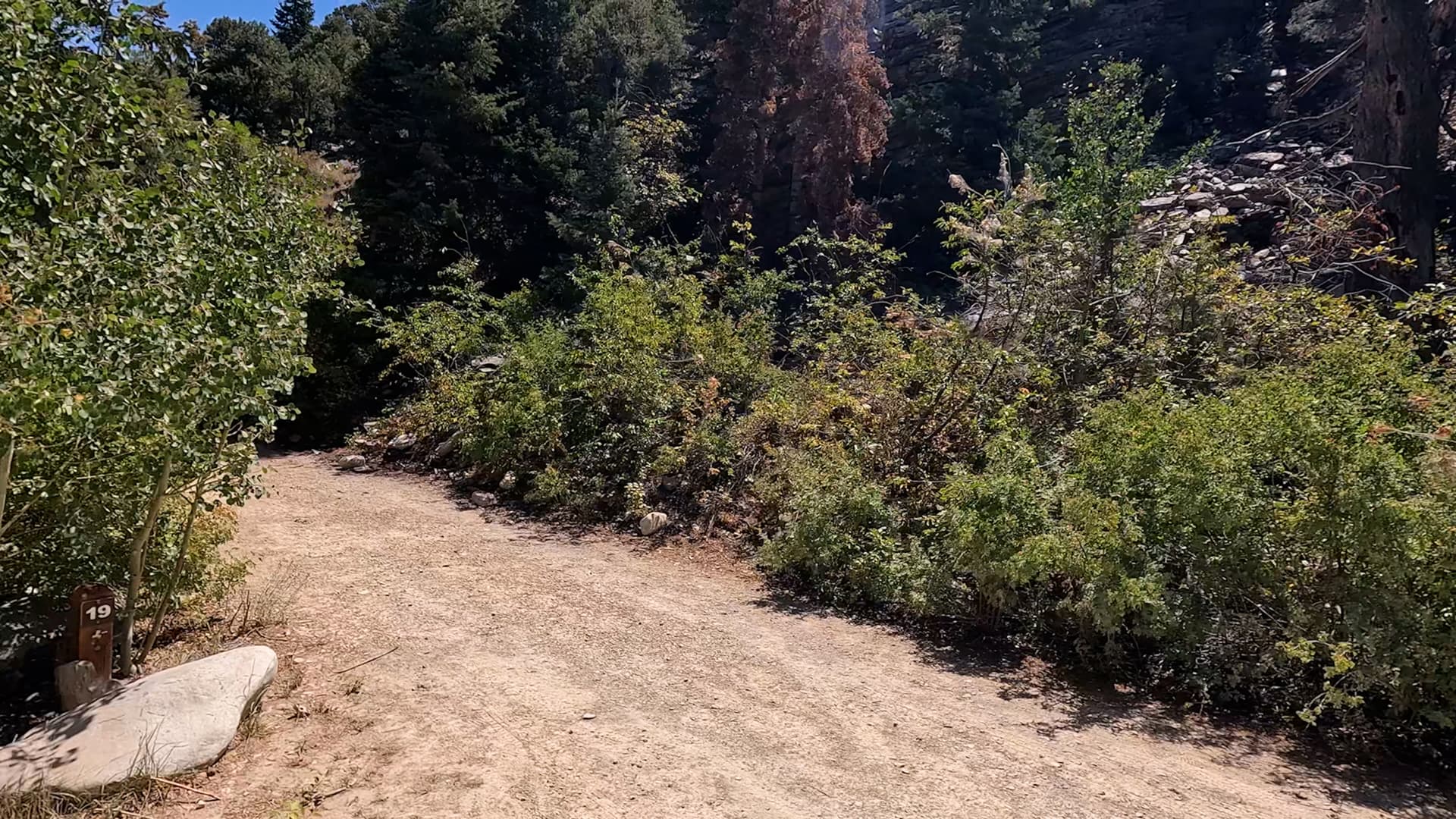Site 19