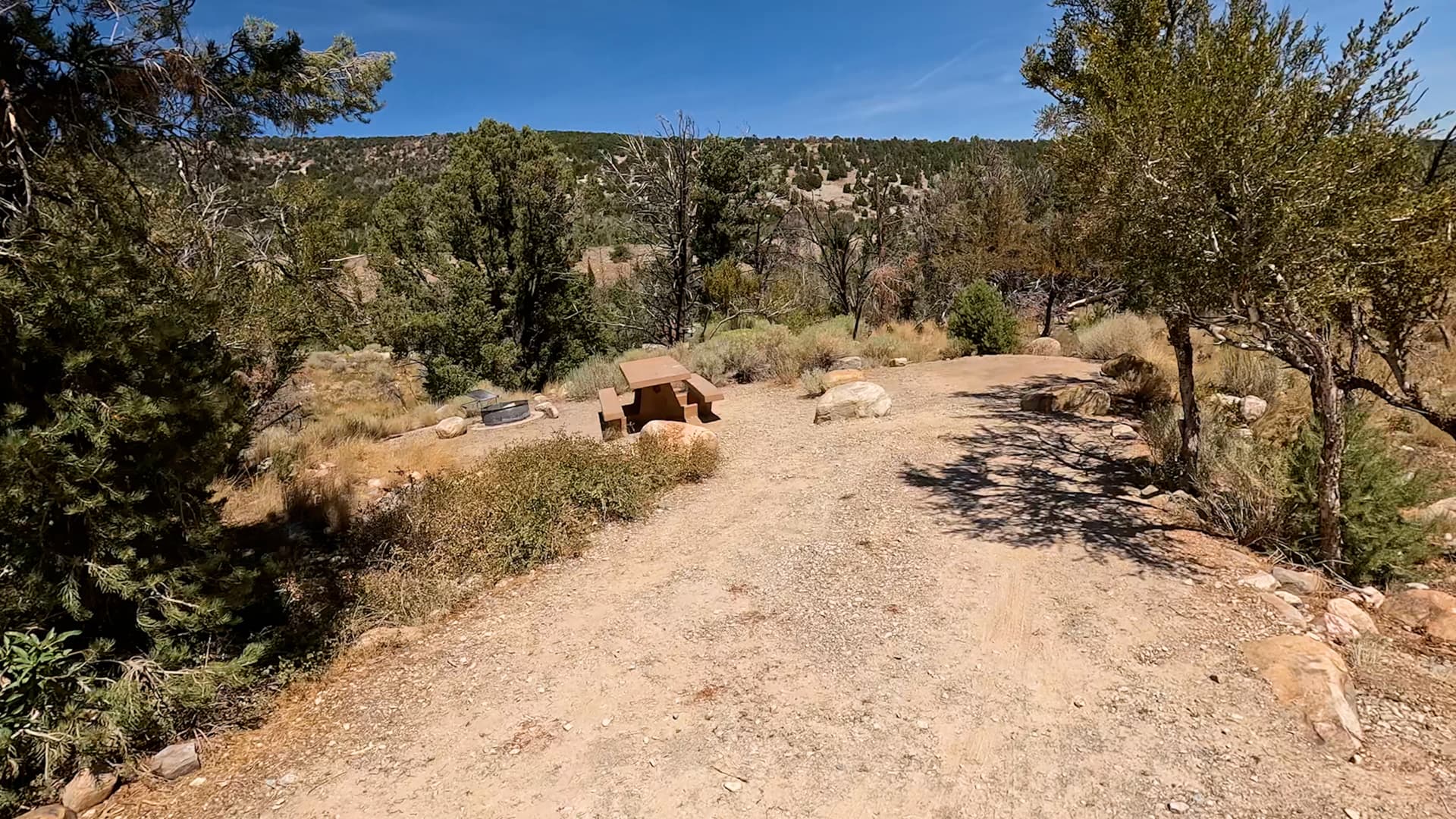 Site 25