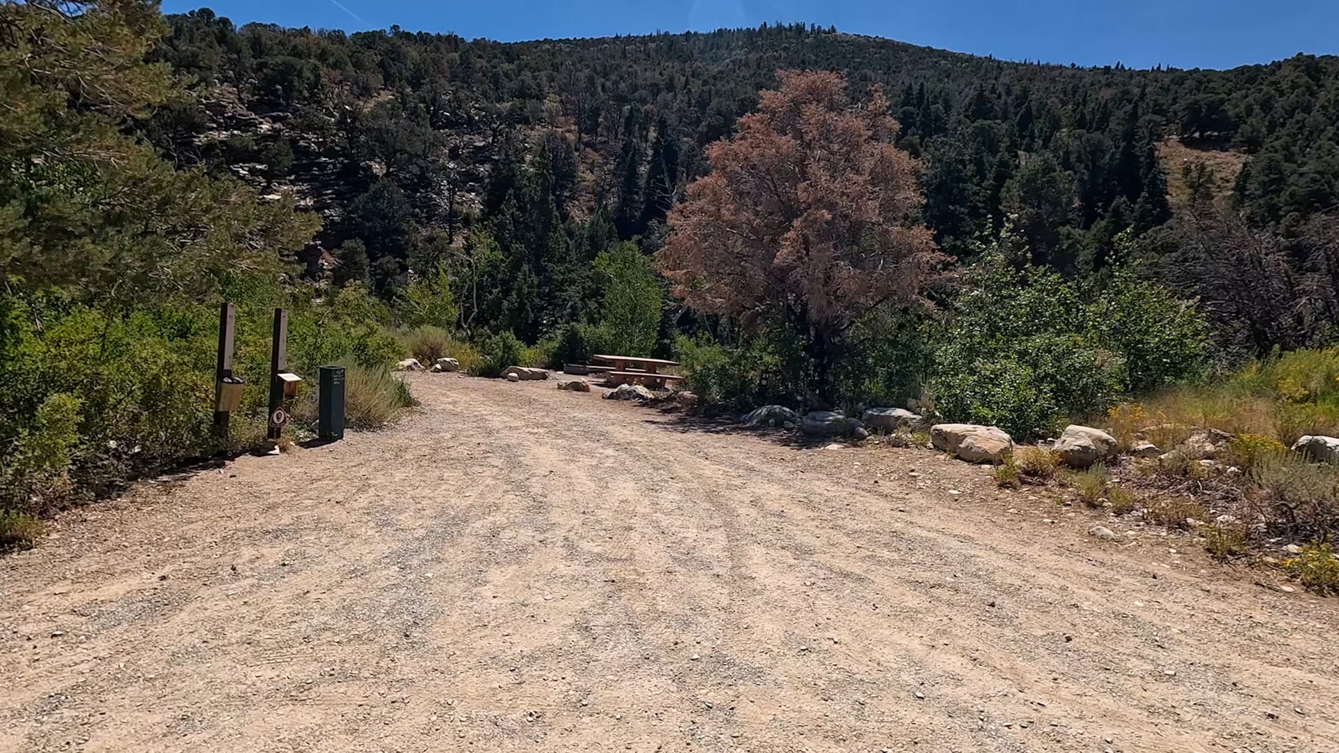 Site 21