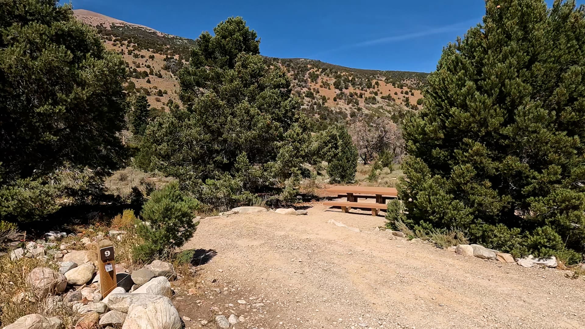 Site 9