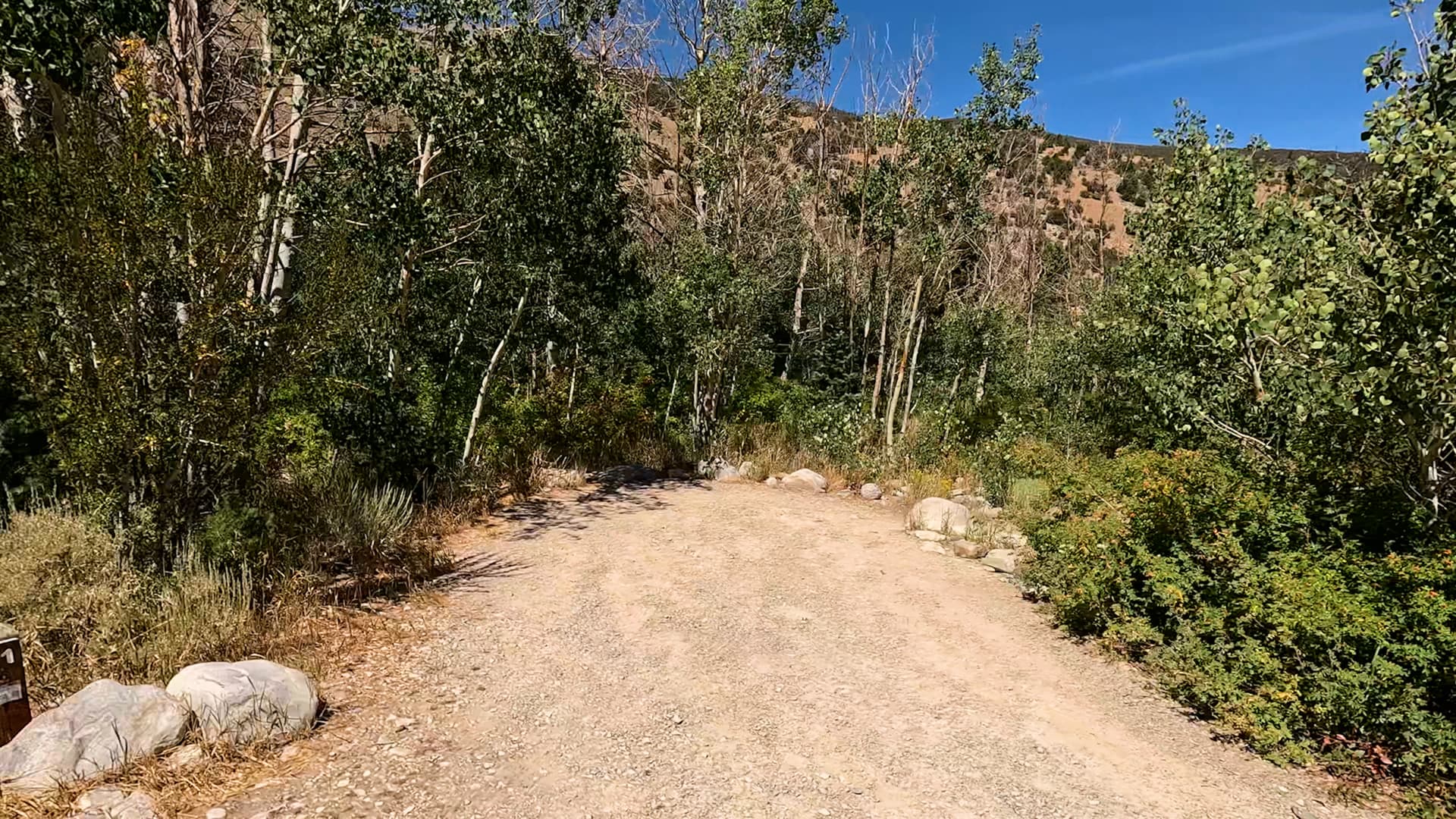 Site 11