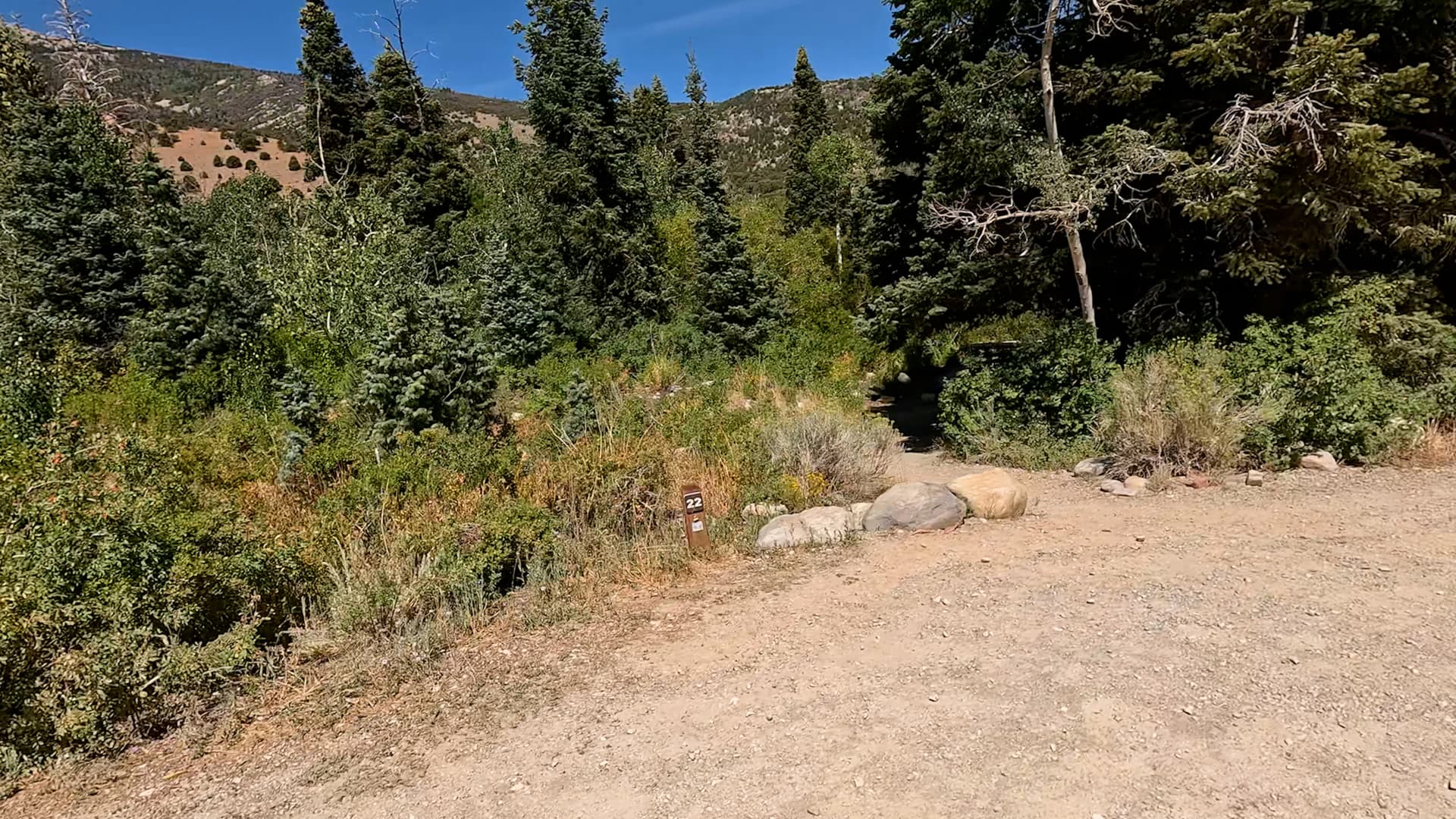 Site 22
