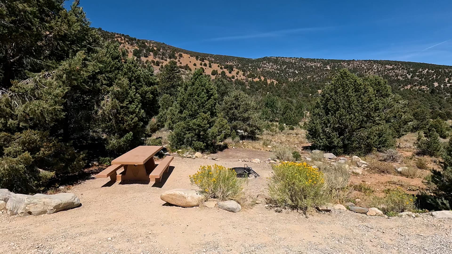 Site 5