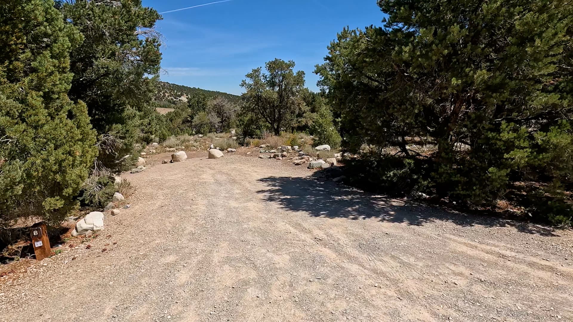 Site 8