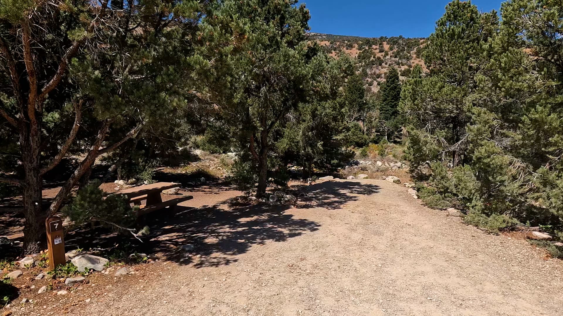 Site 7