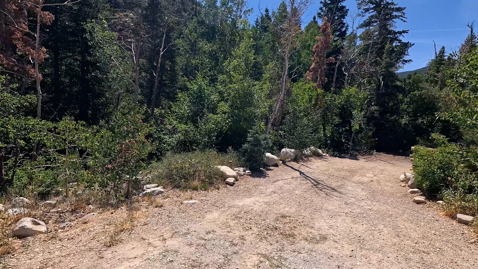 Site 13