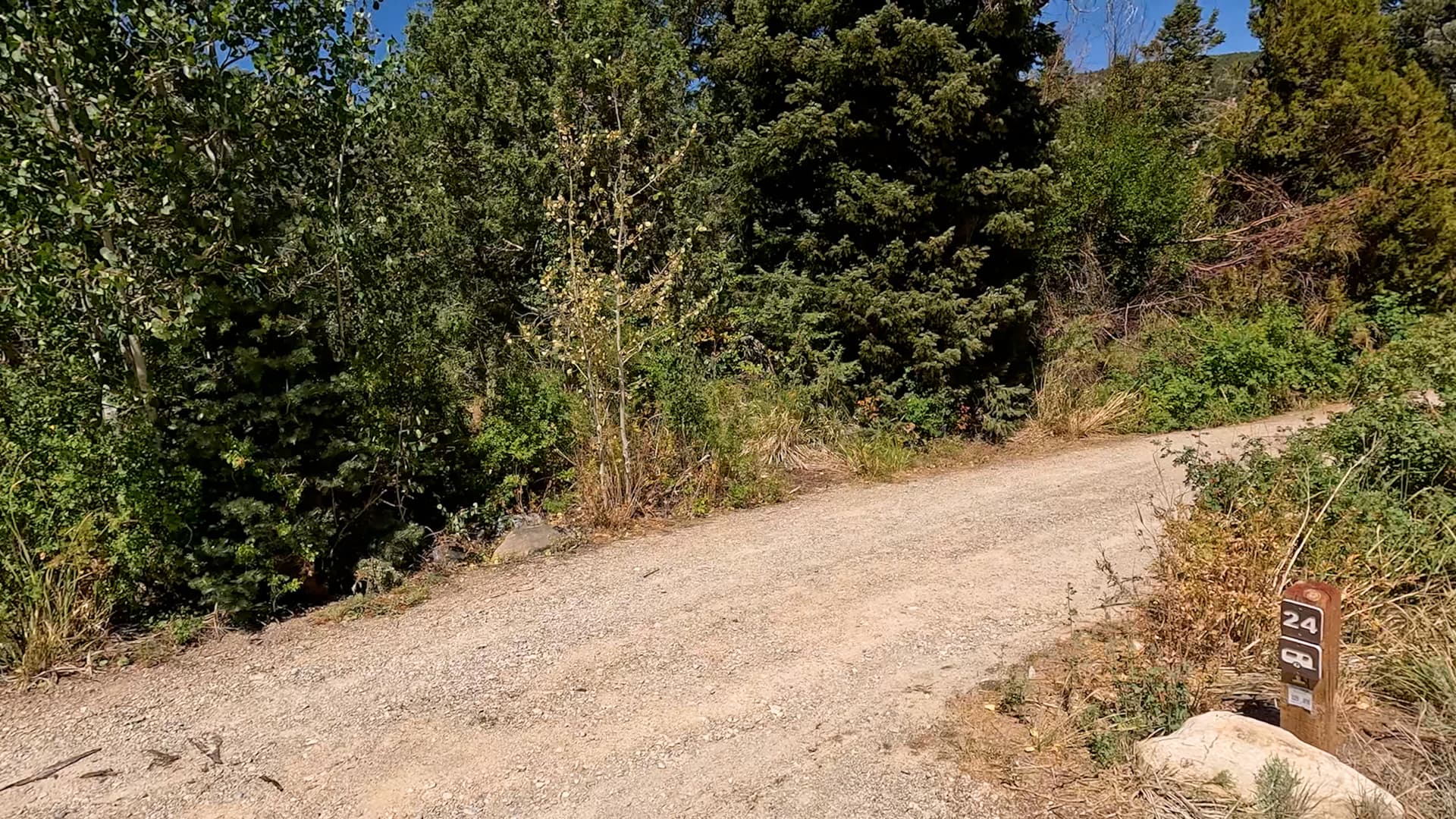 Site 24