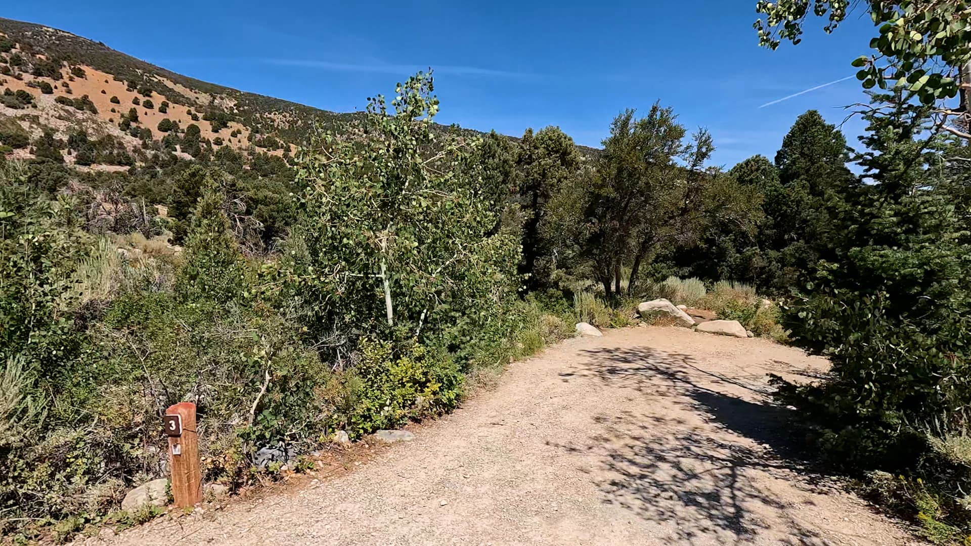 Site 3