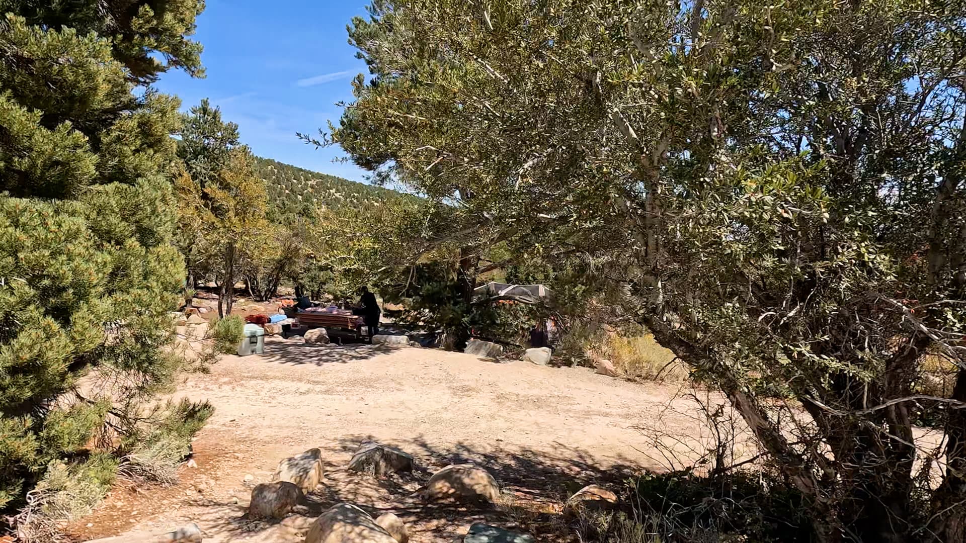 Site 33
