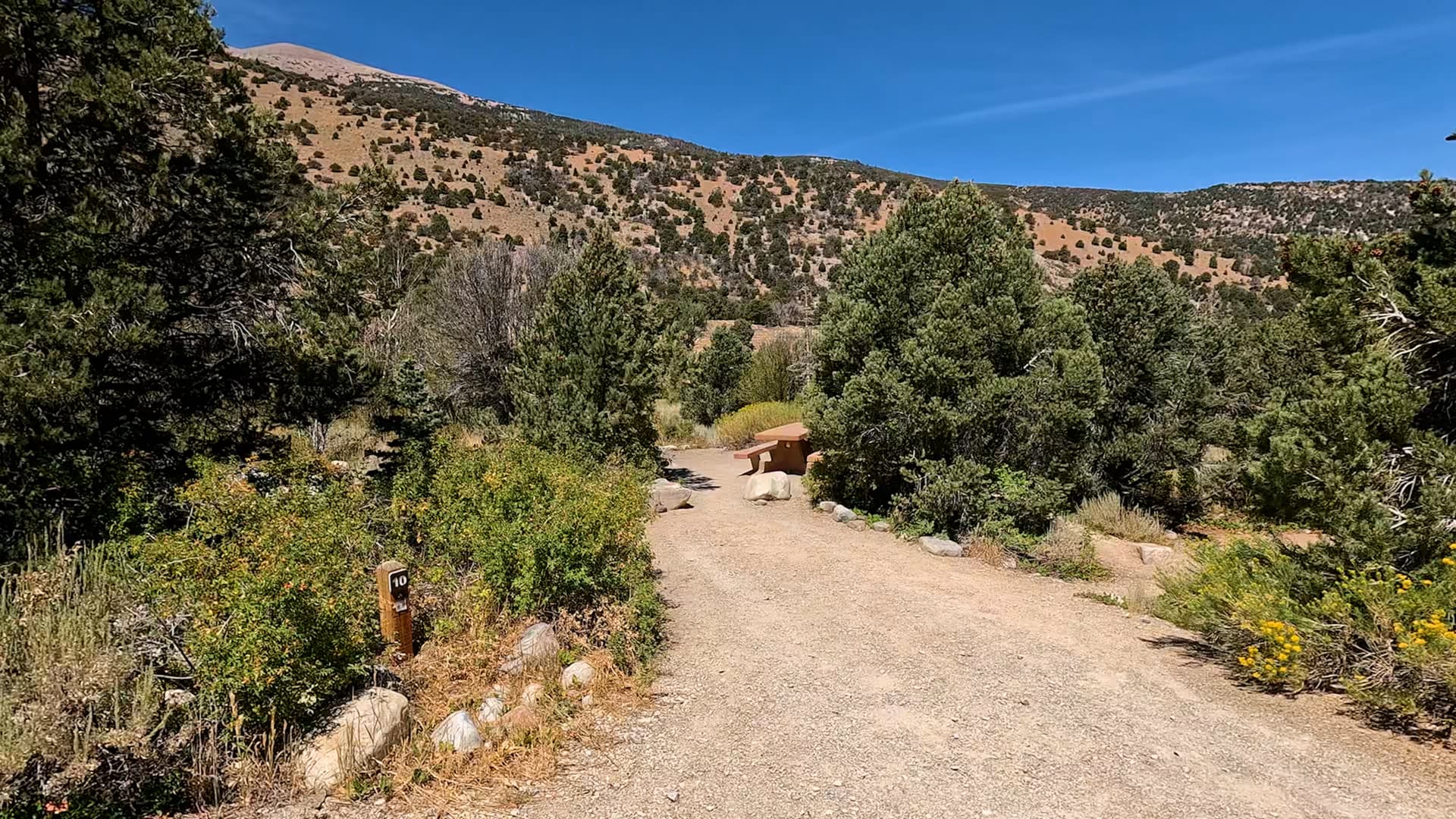 Site 10