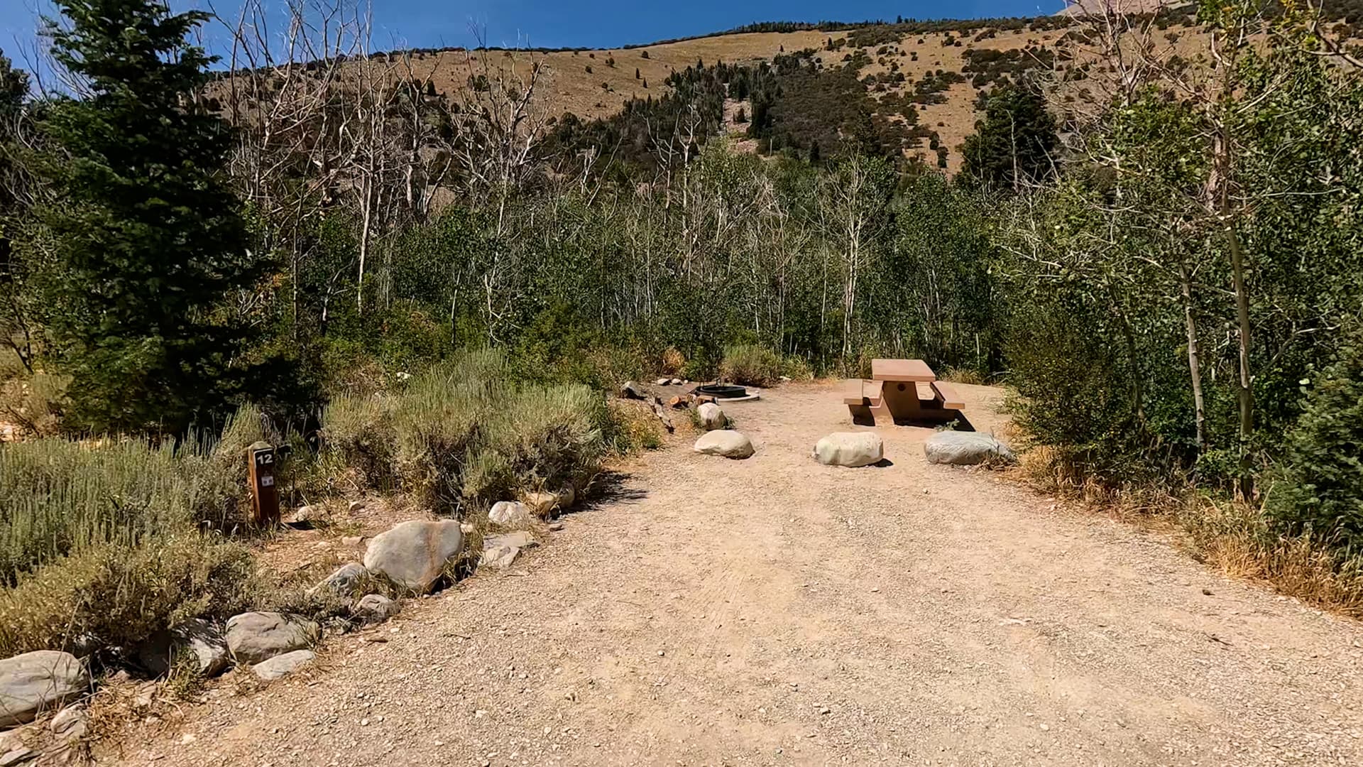 Site 12
