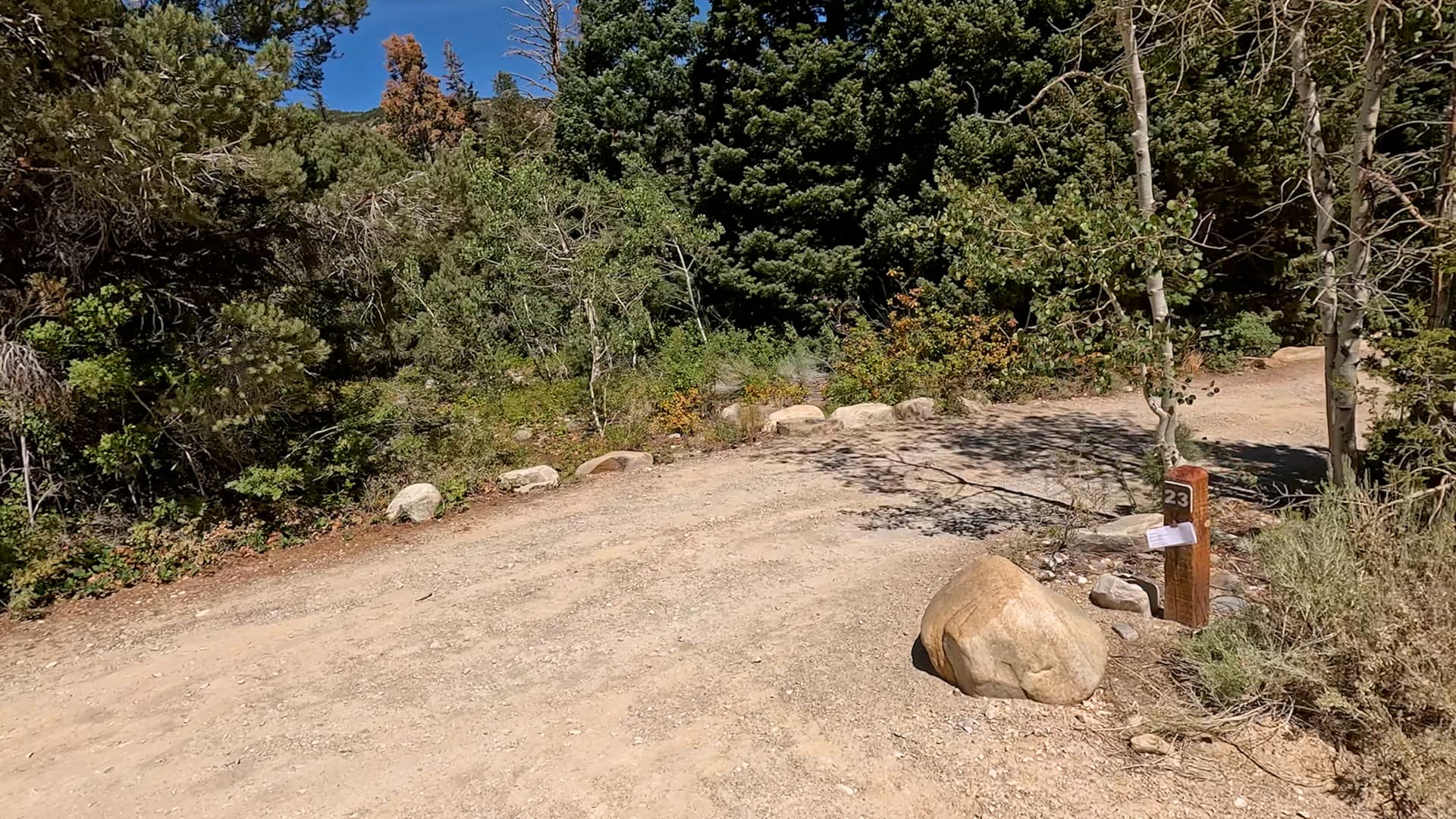 Site 23