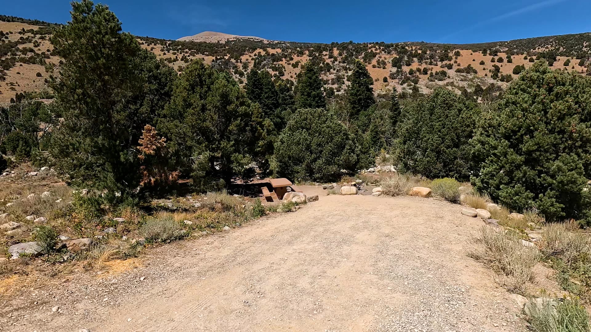 Site 6