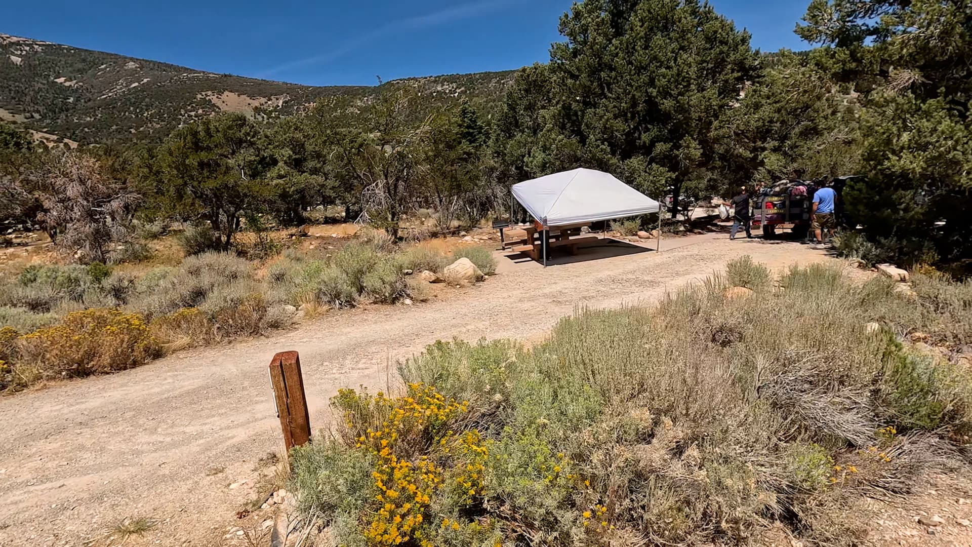 Site 28