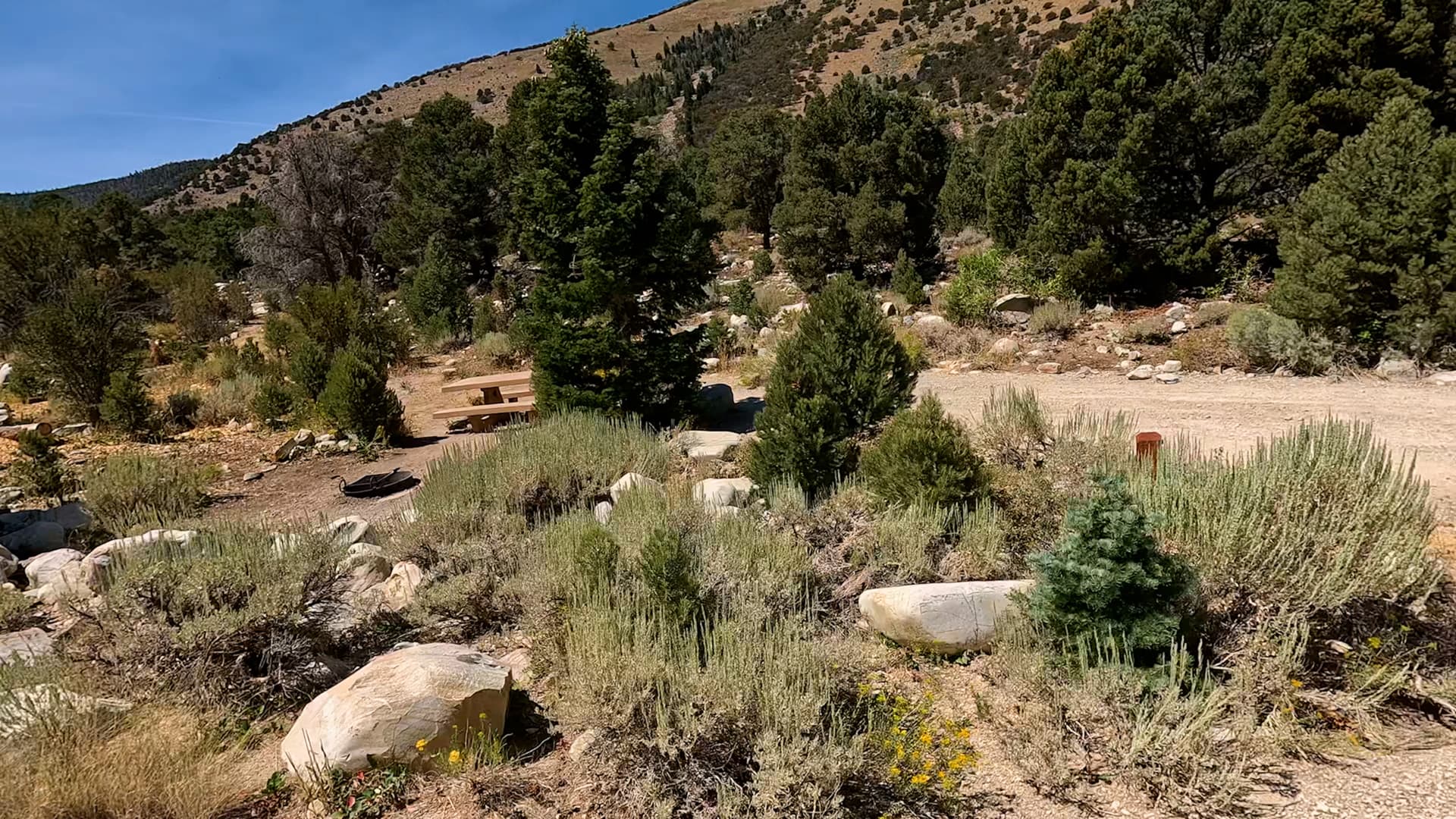 Site 17