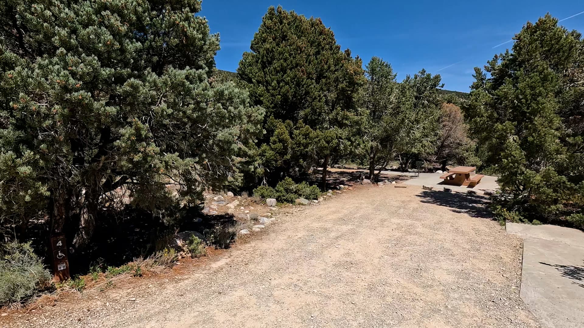 Site 4