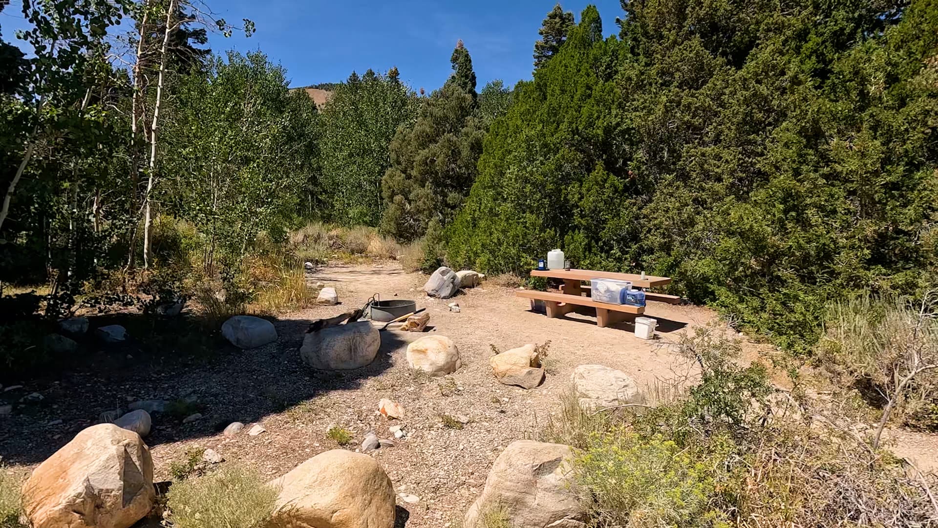 Site 38