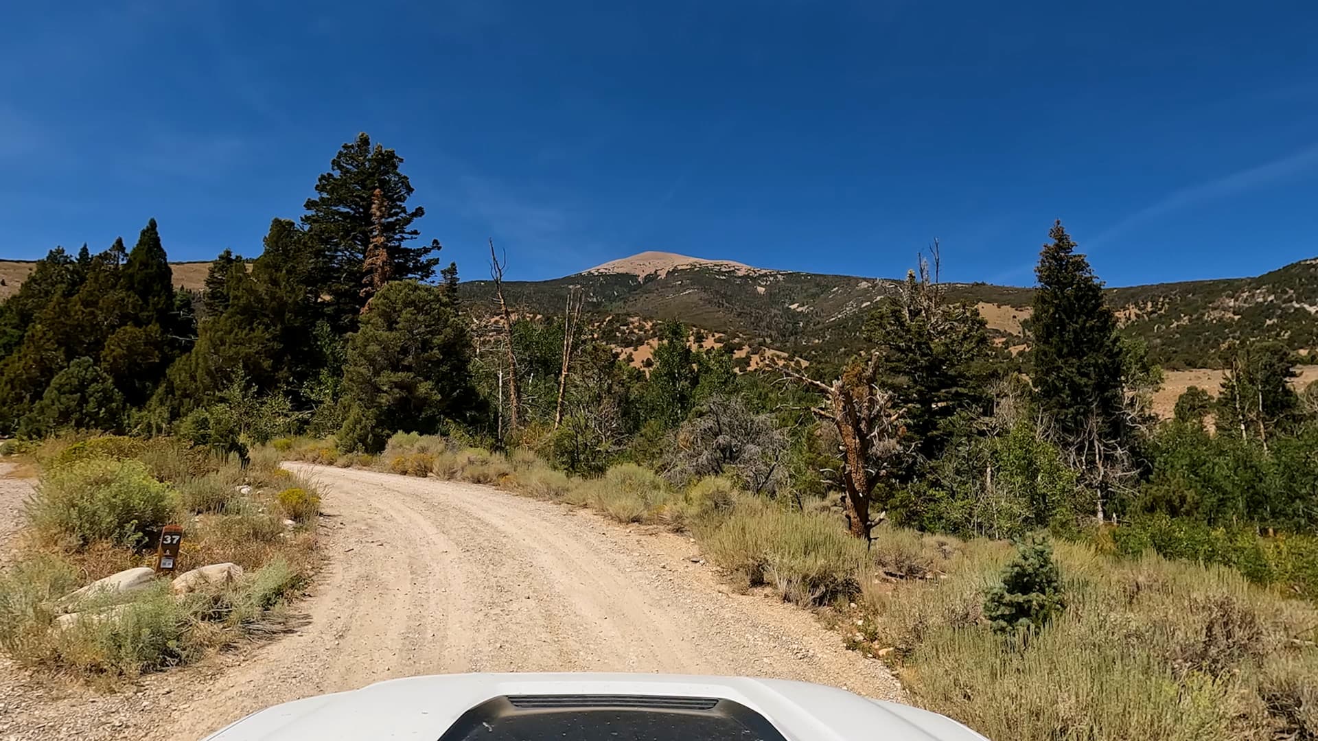 Site 37