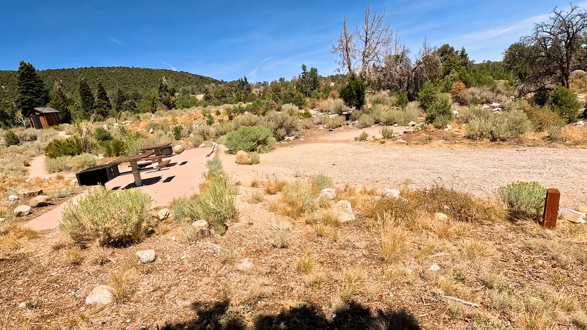 Site C3