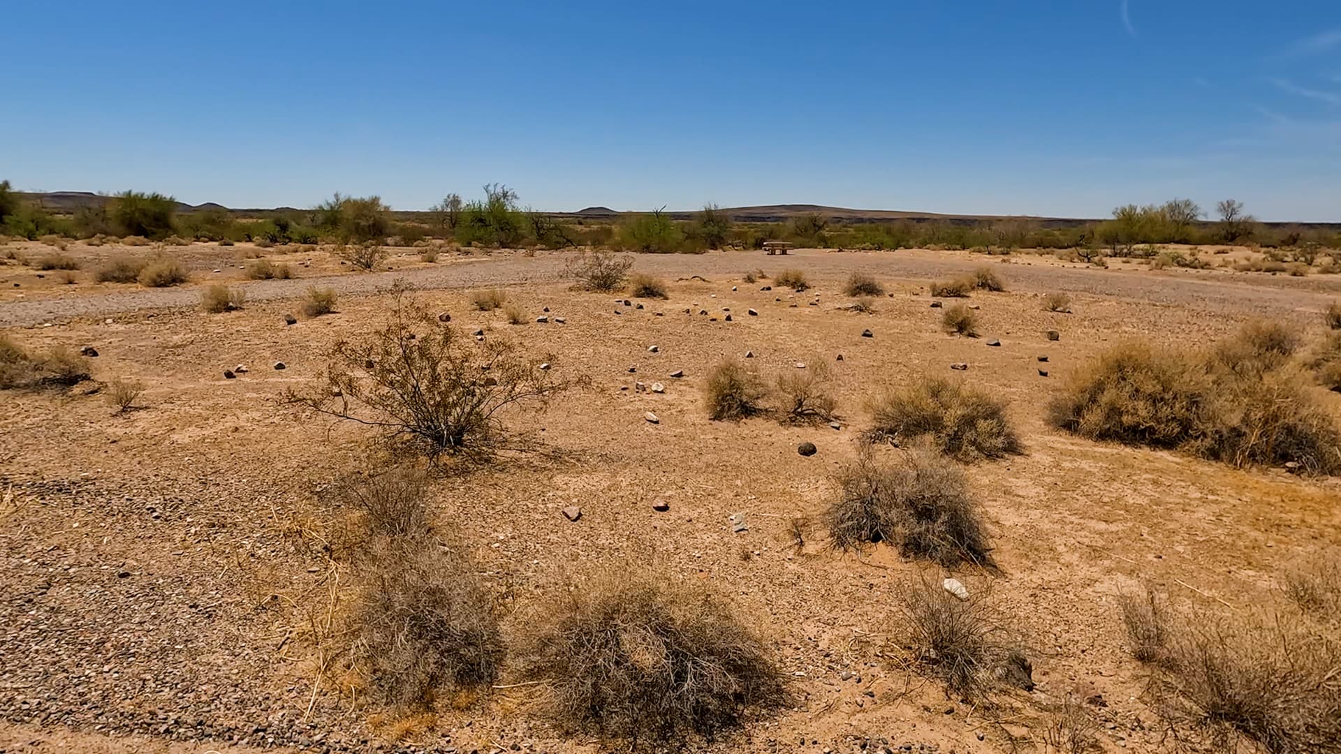 Site 37