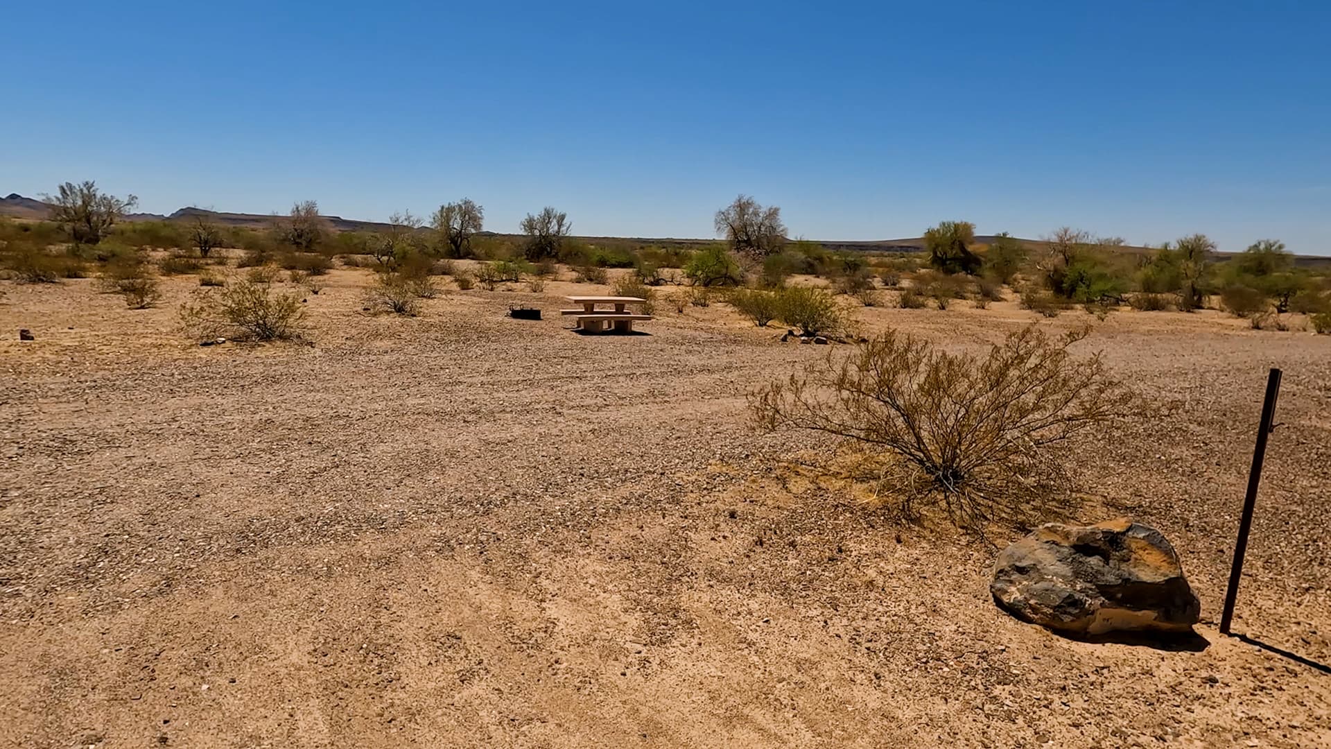Site 42