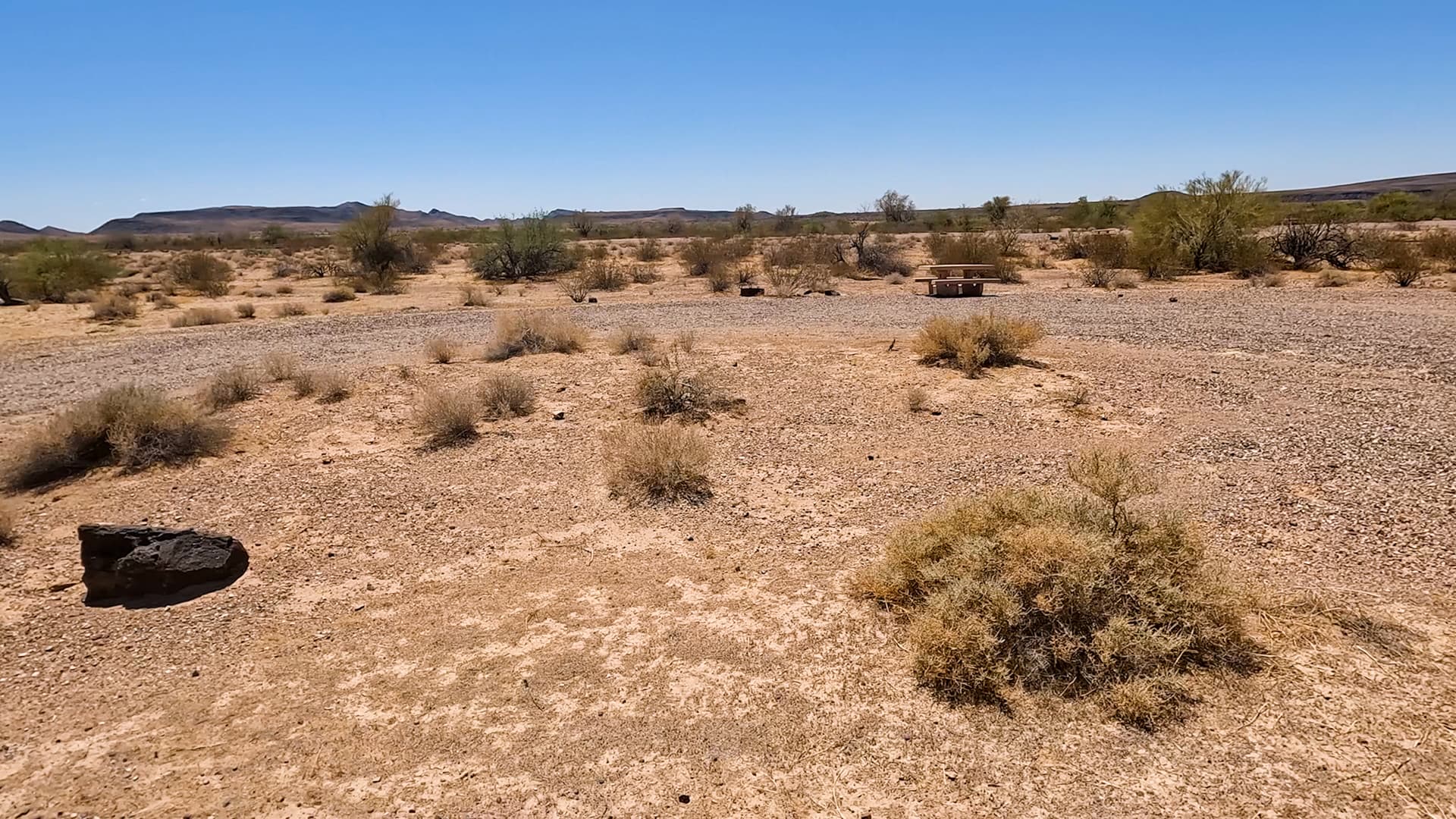Site 29