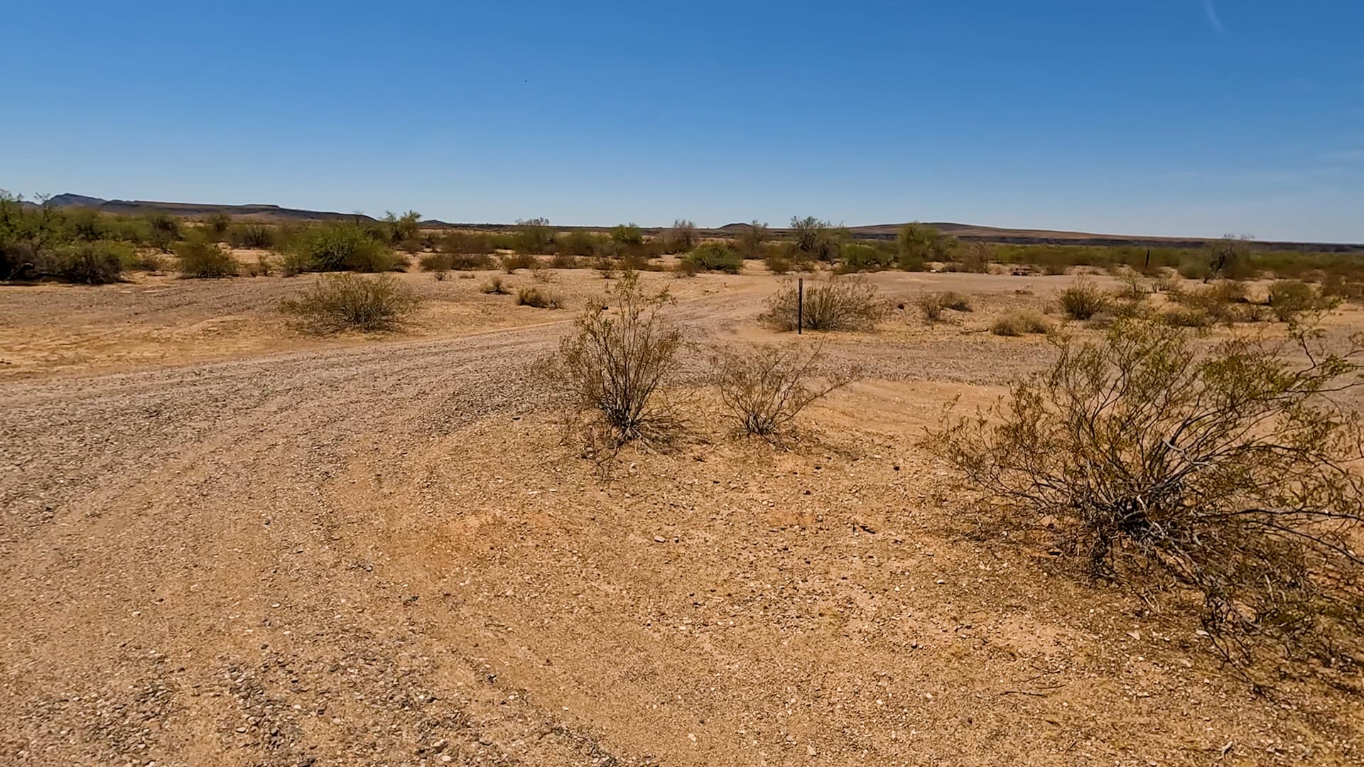 Site 51