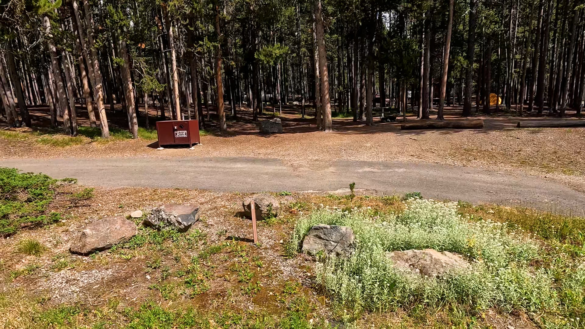 Site 1