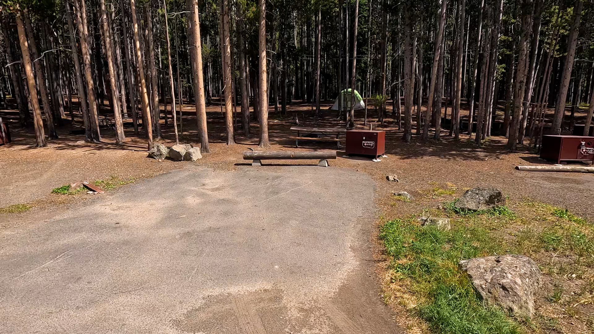 Site 11