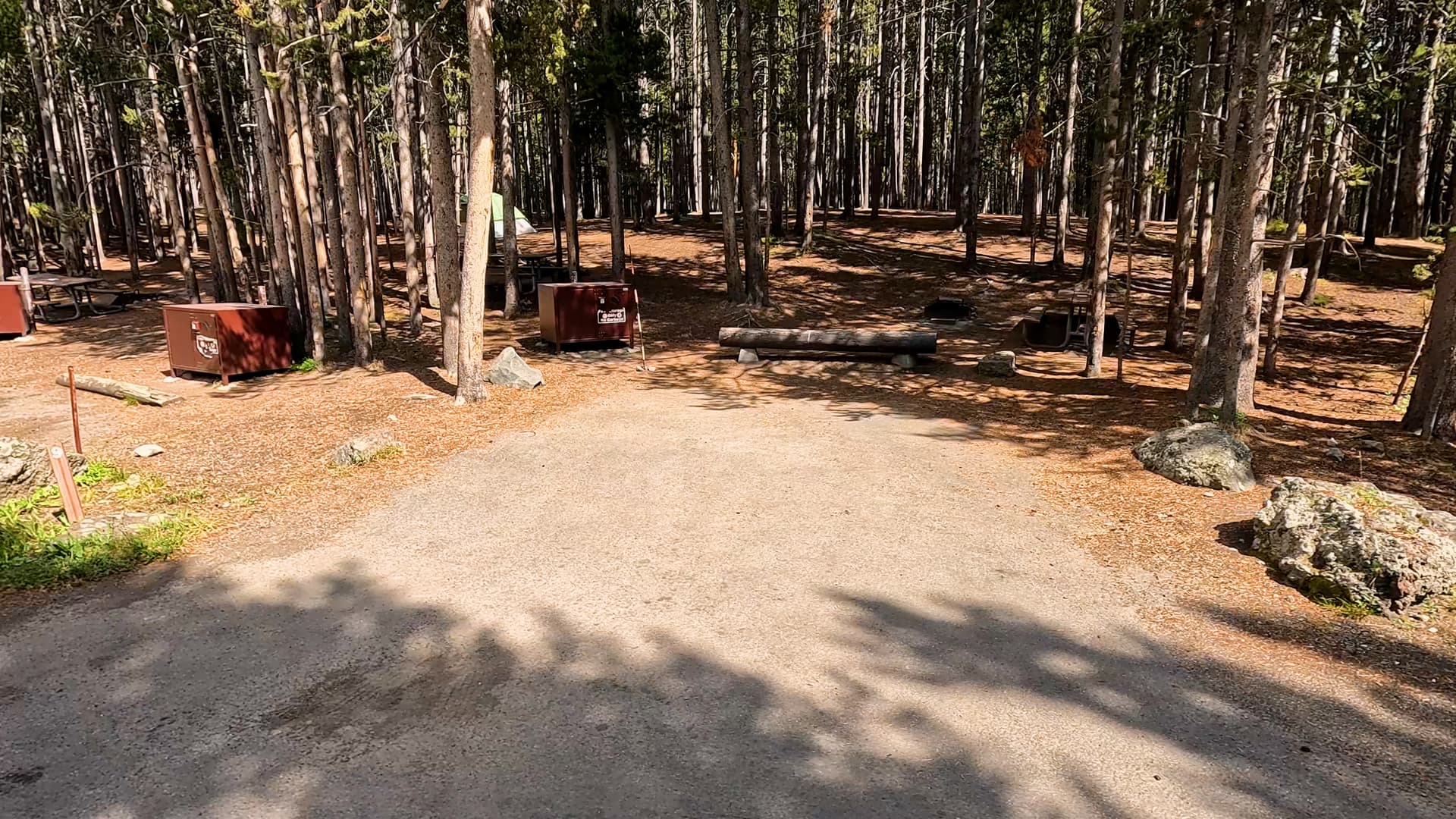 Site 9