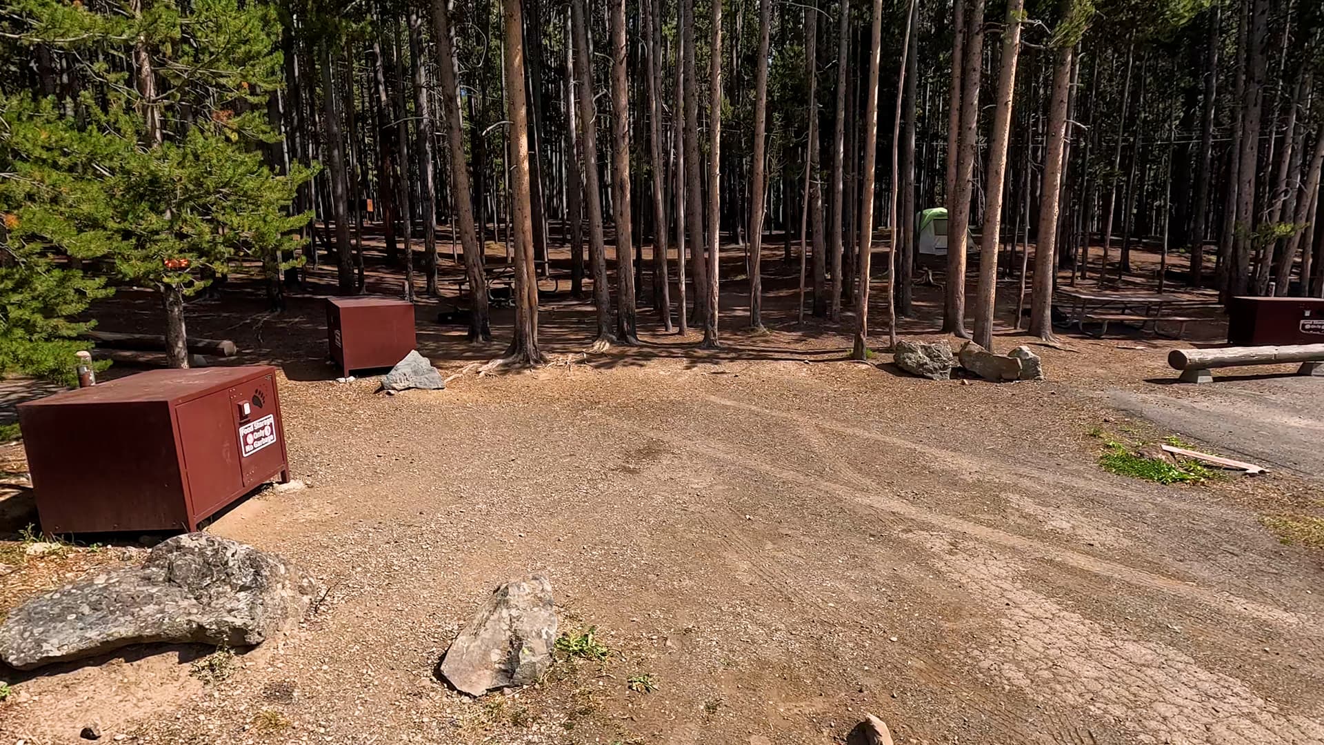 Site 12