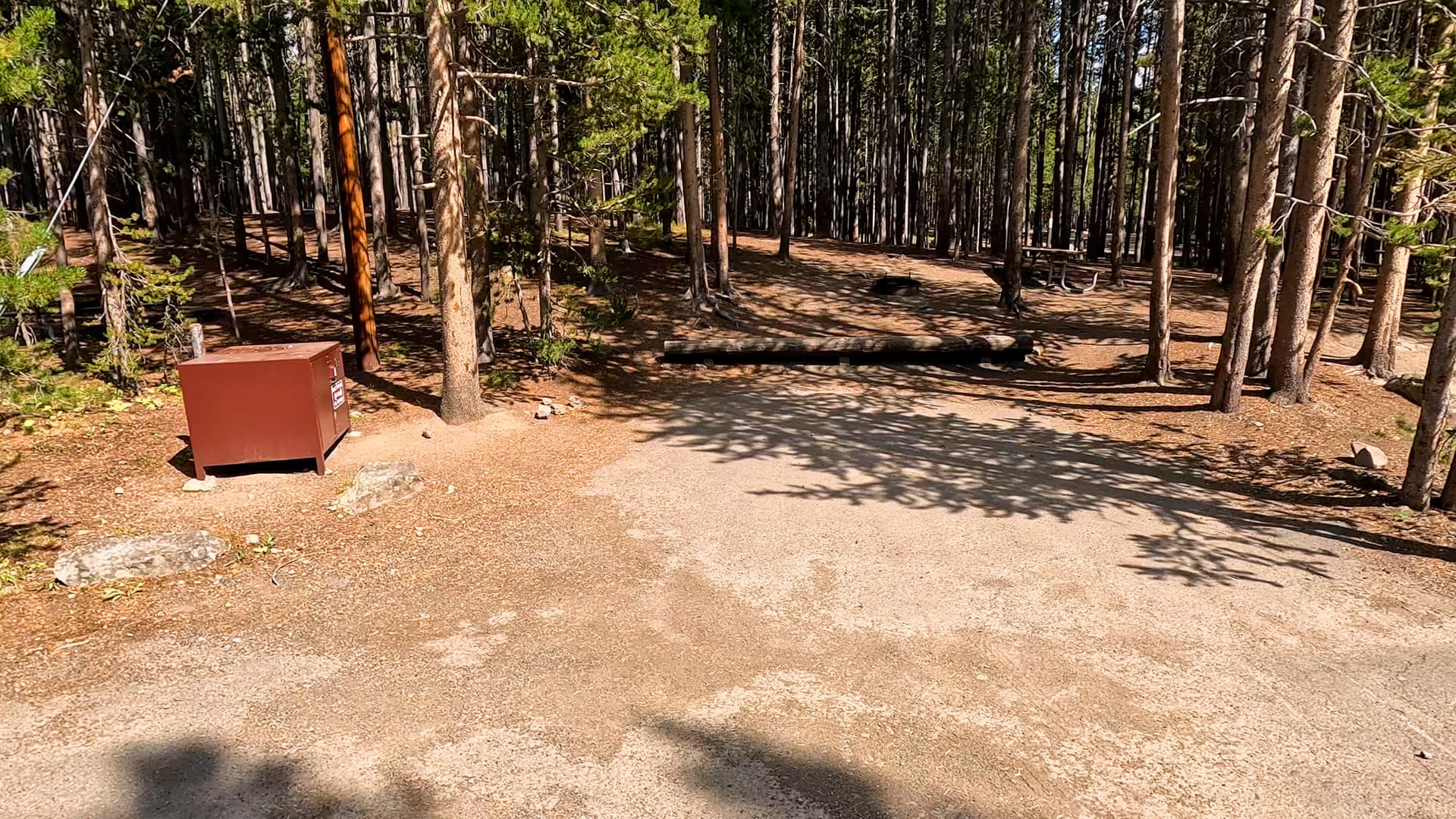 Site 7