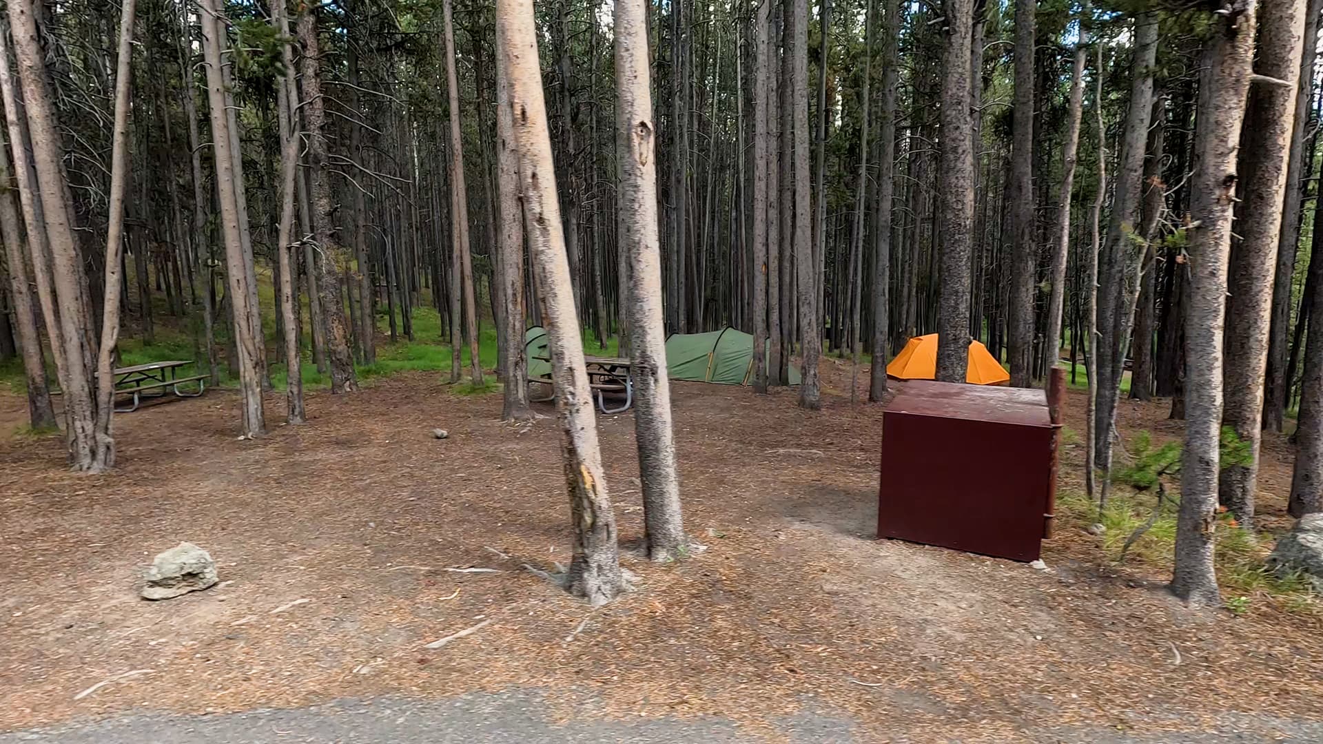 Site 40