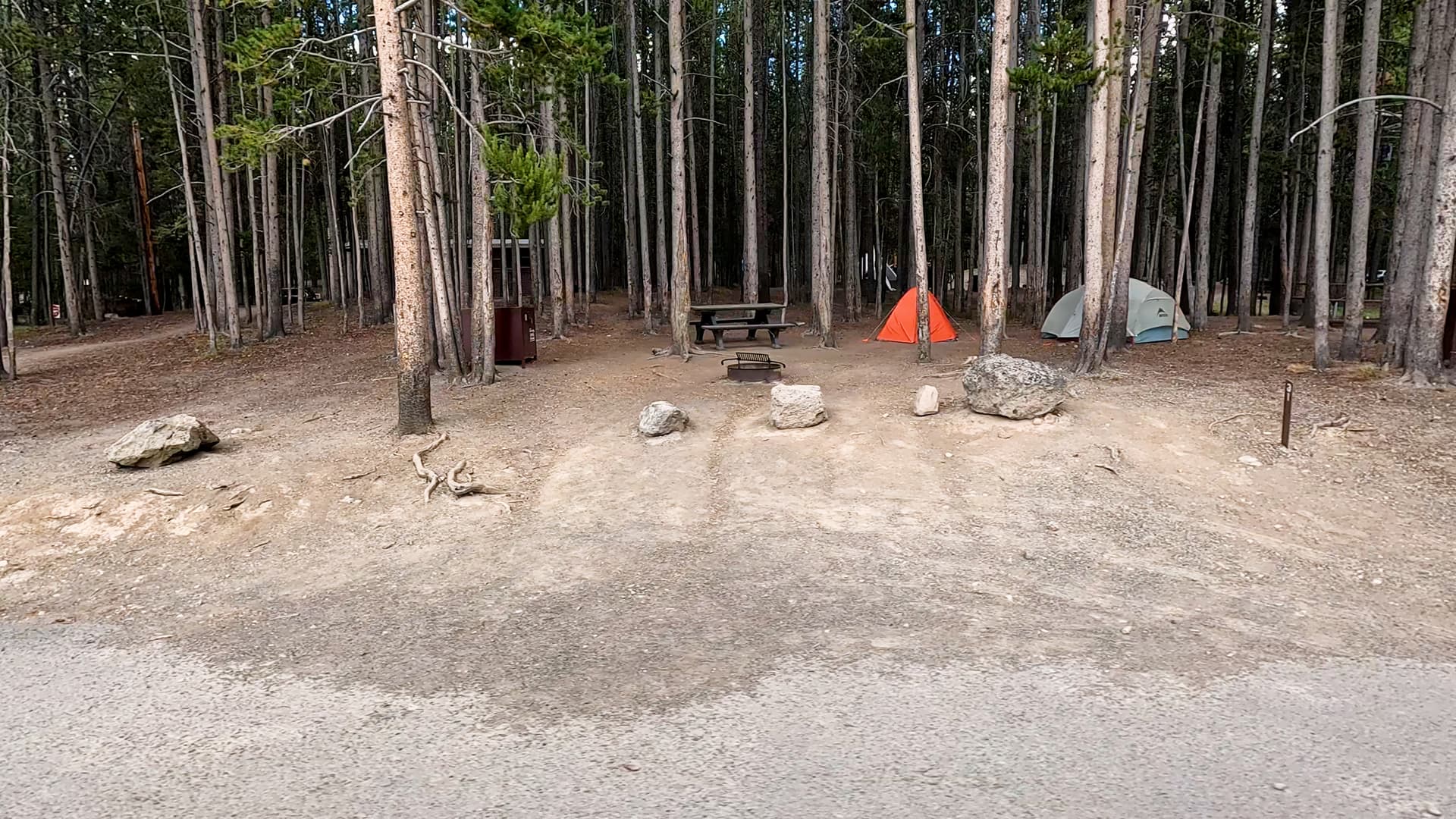 Site 31