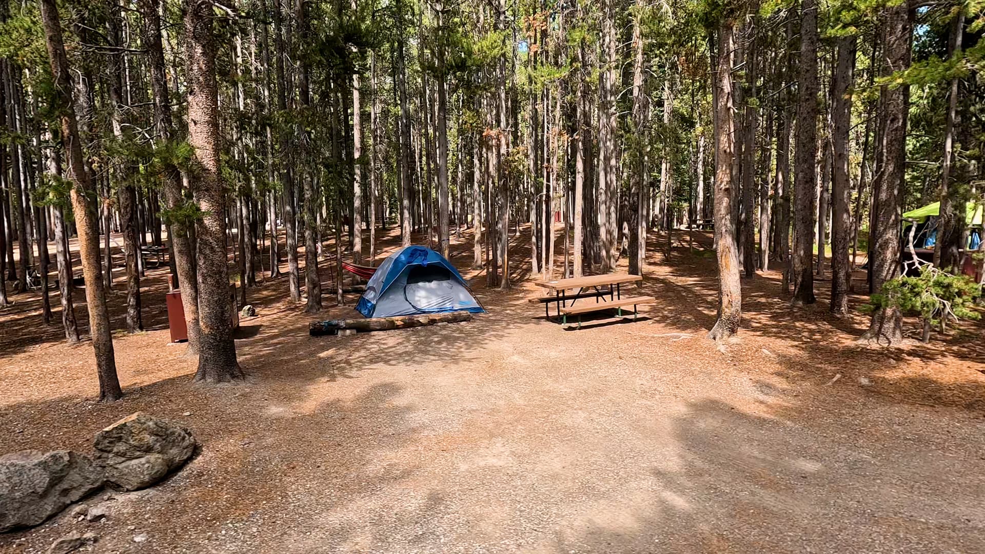 Site 56