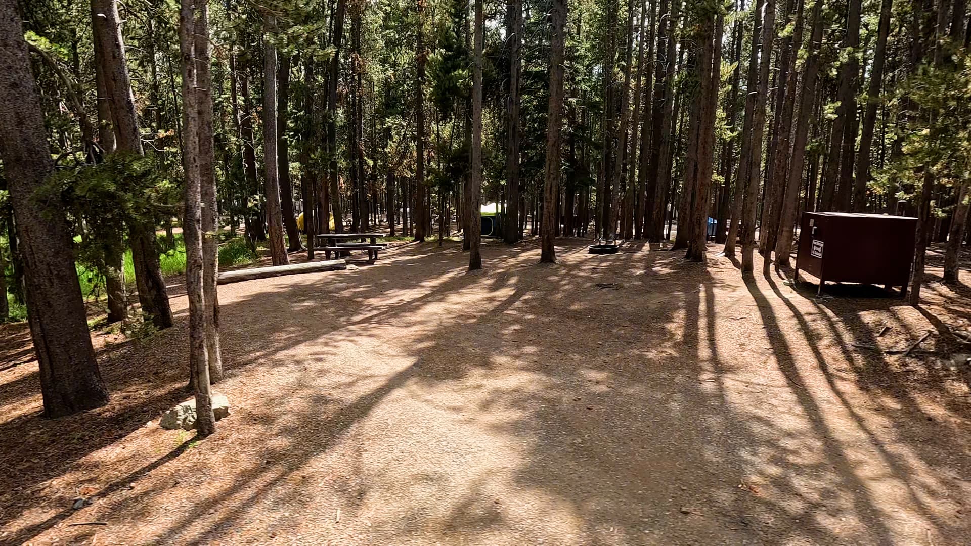 Site 65
