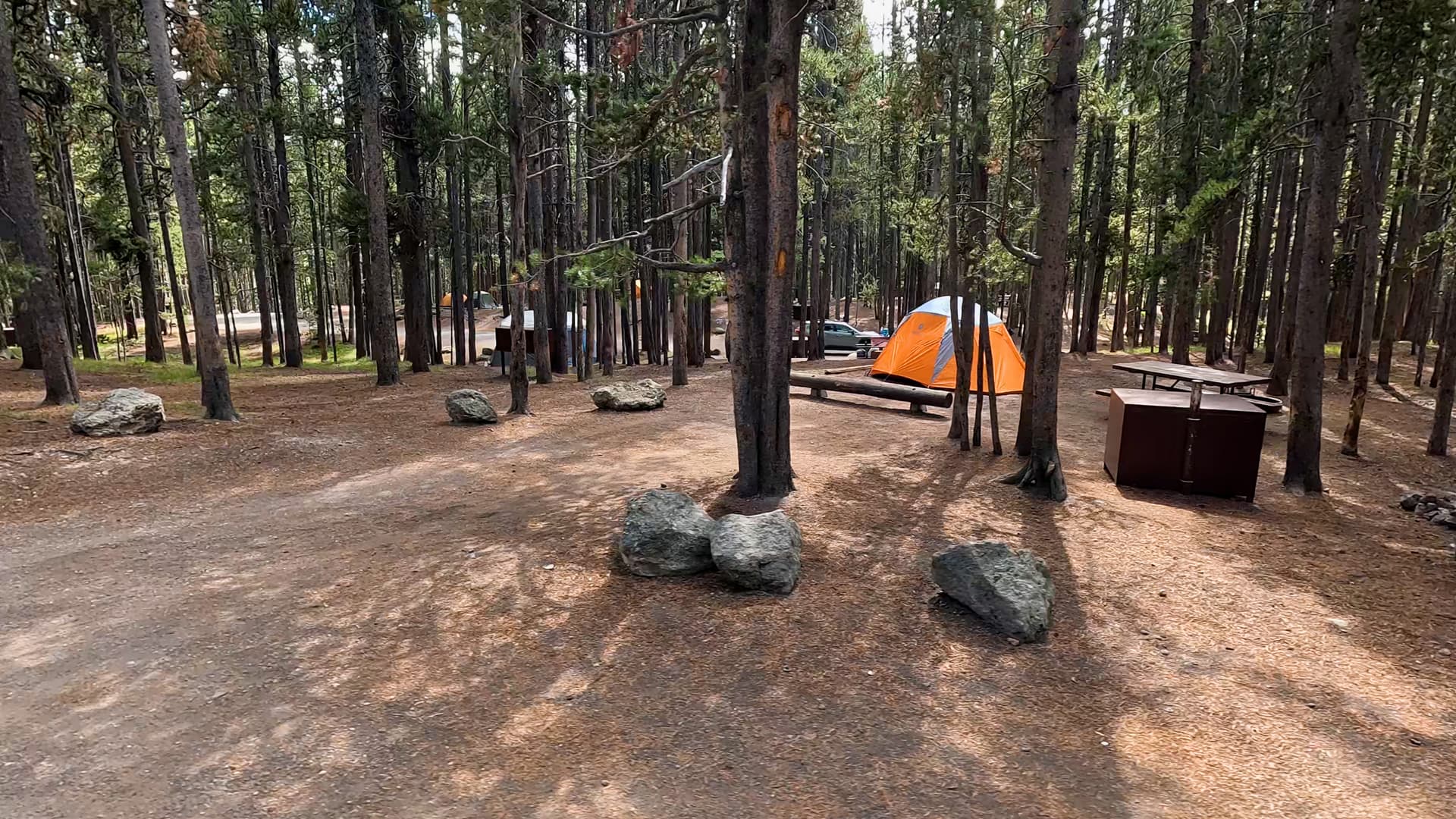 Site 59