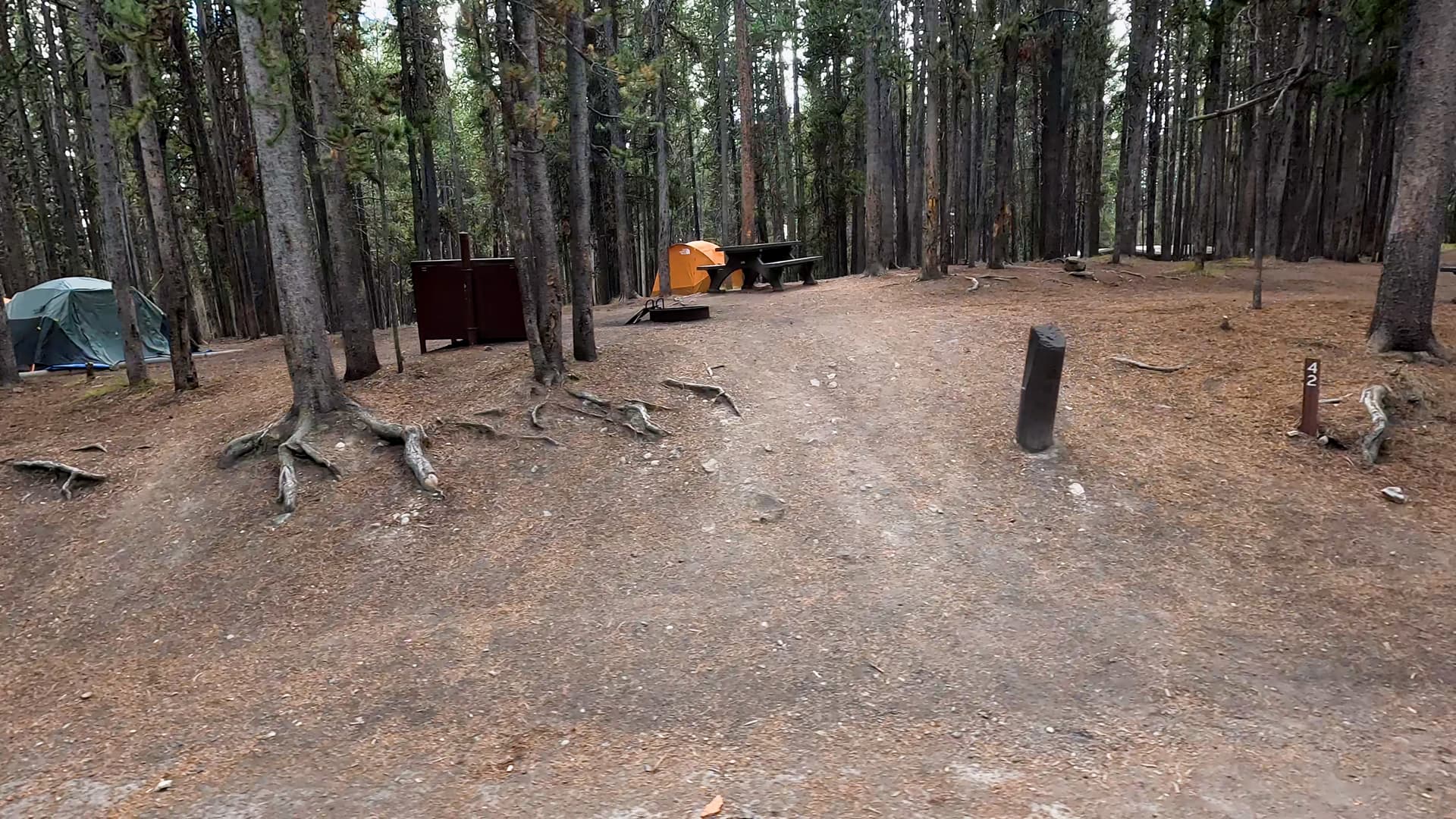 Site 42