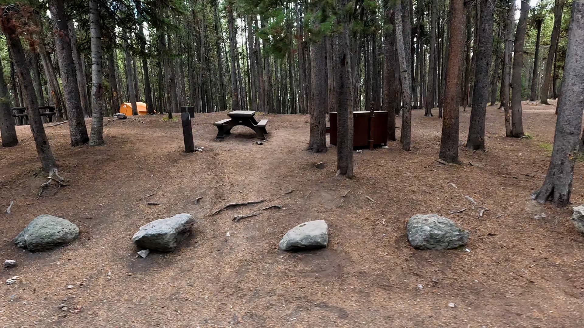 Site 43