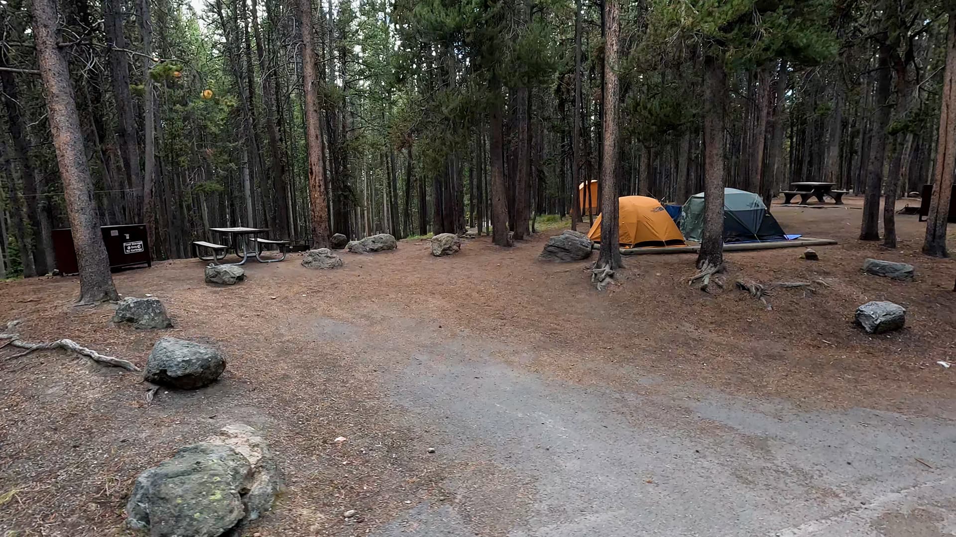 Site 41