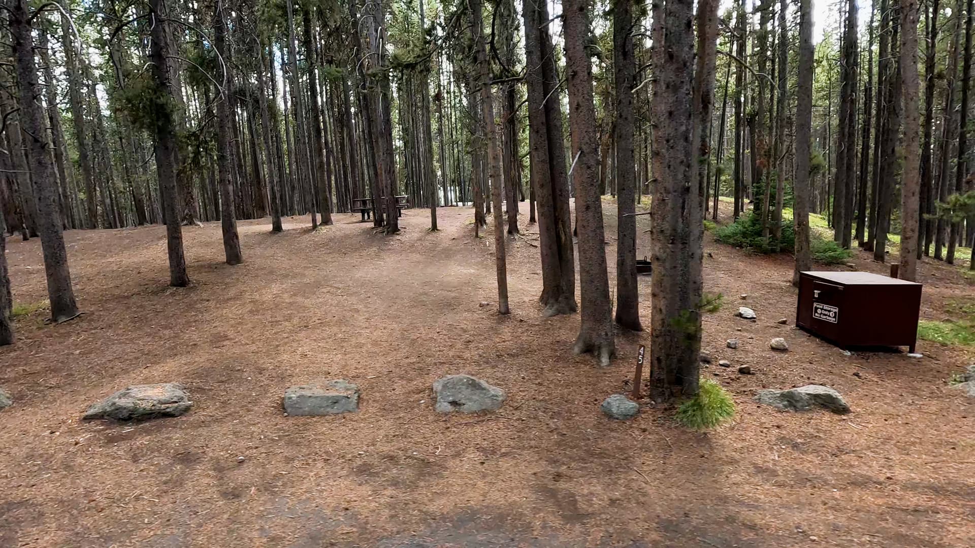Site 45