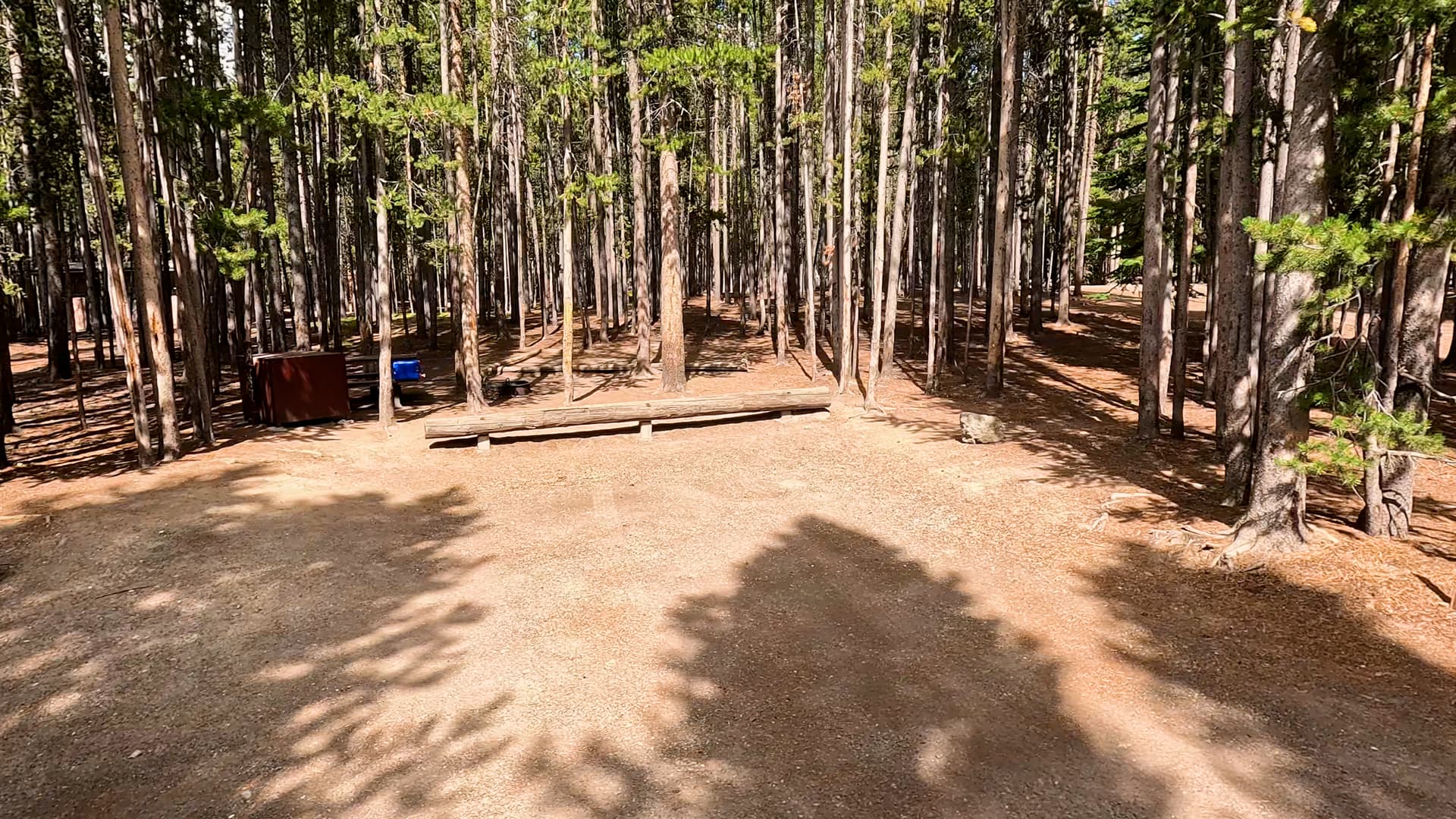 Site 54
