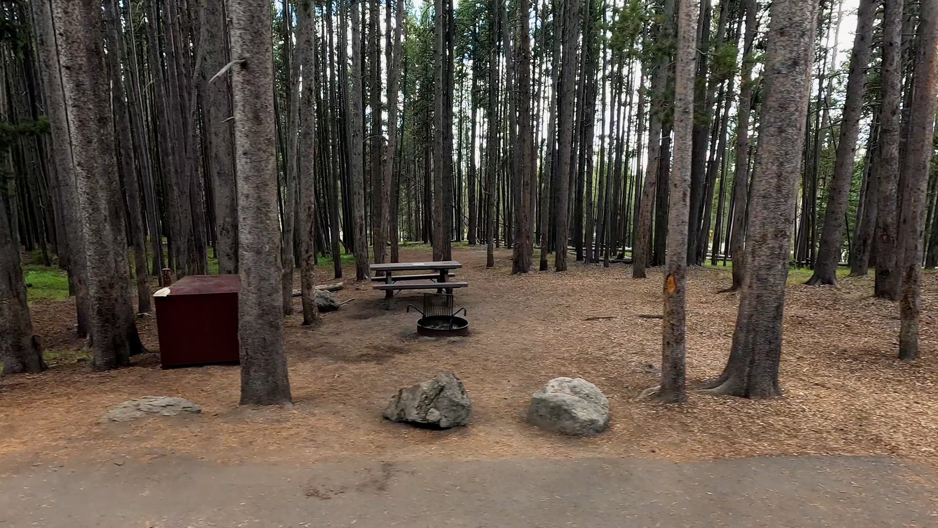 Site 38