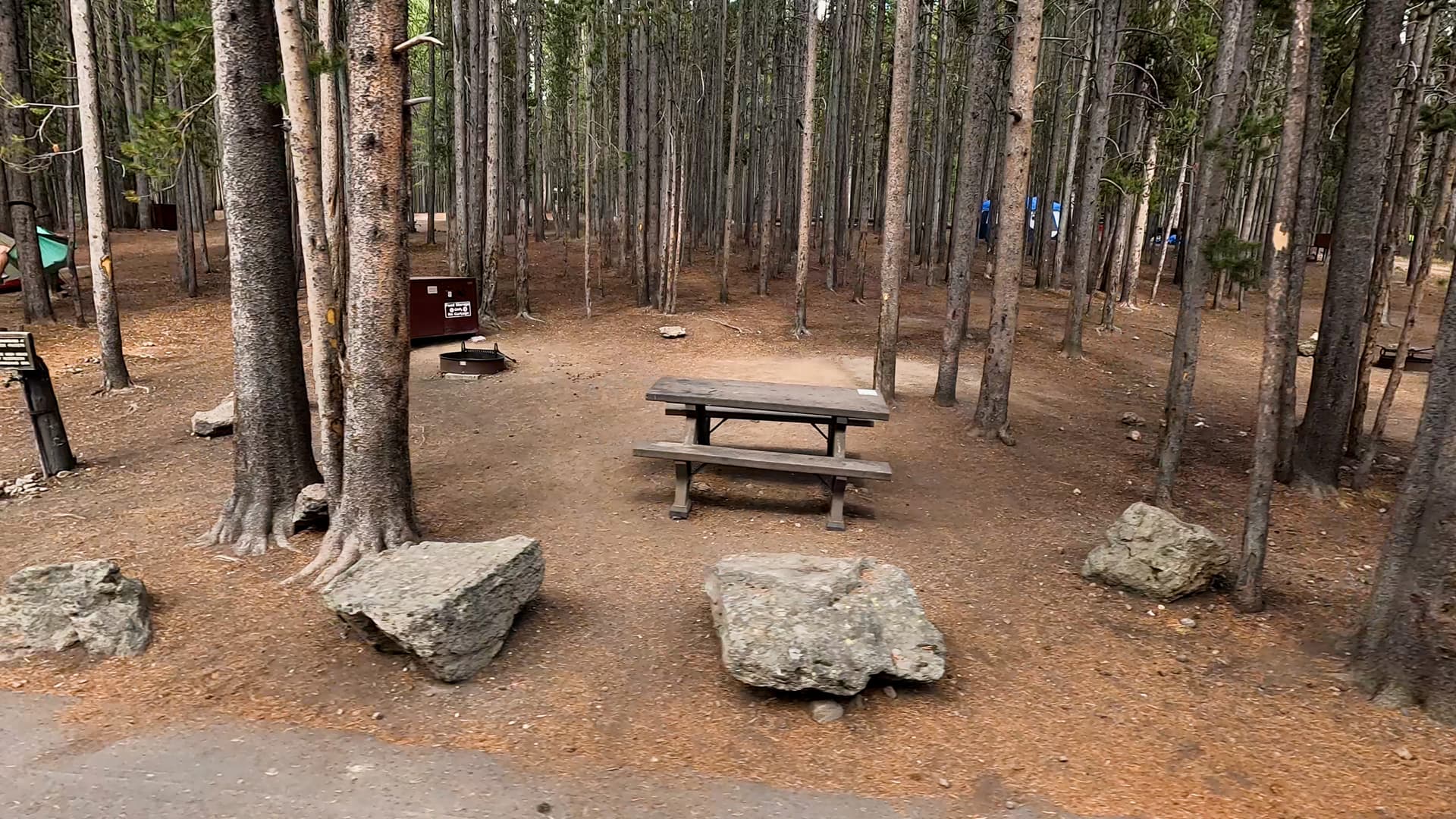 Site 49