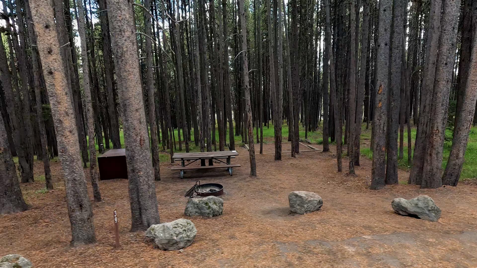 Site 39