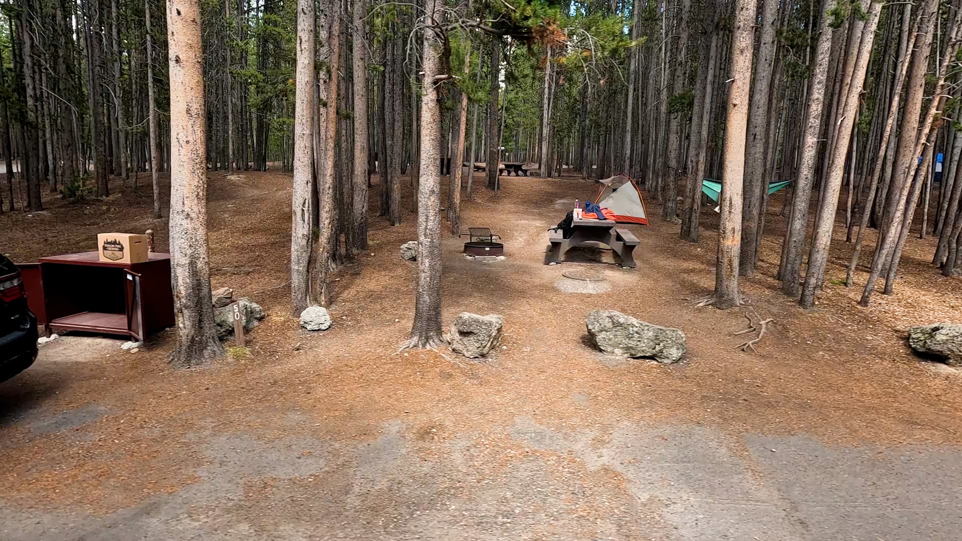 Site 50