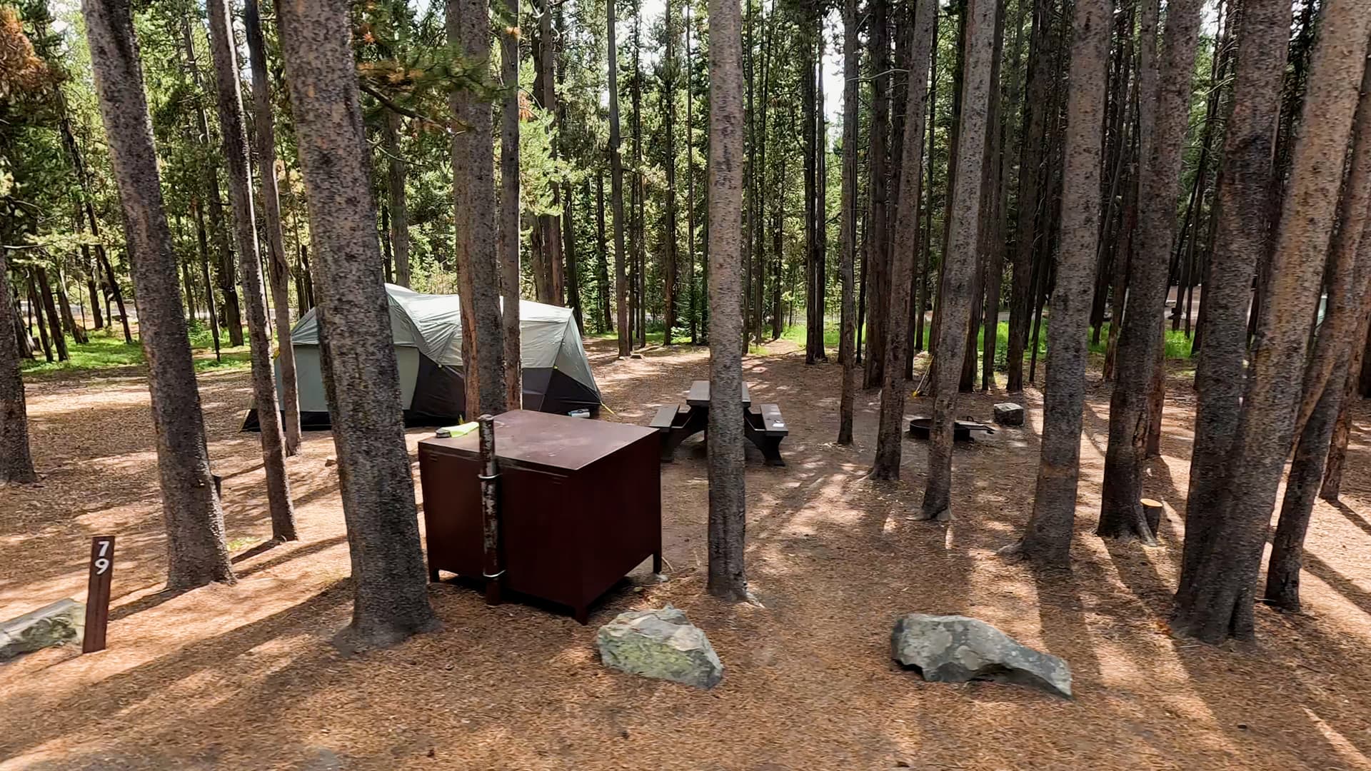 Site 79
