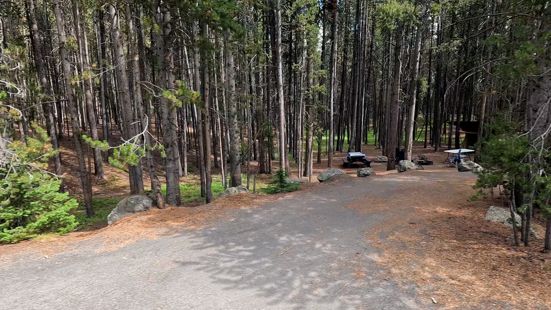Site 82