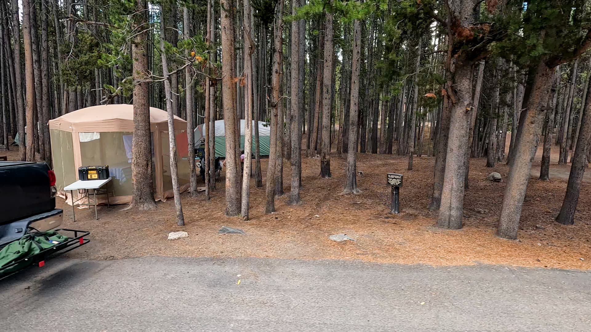 Site 86