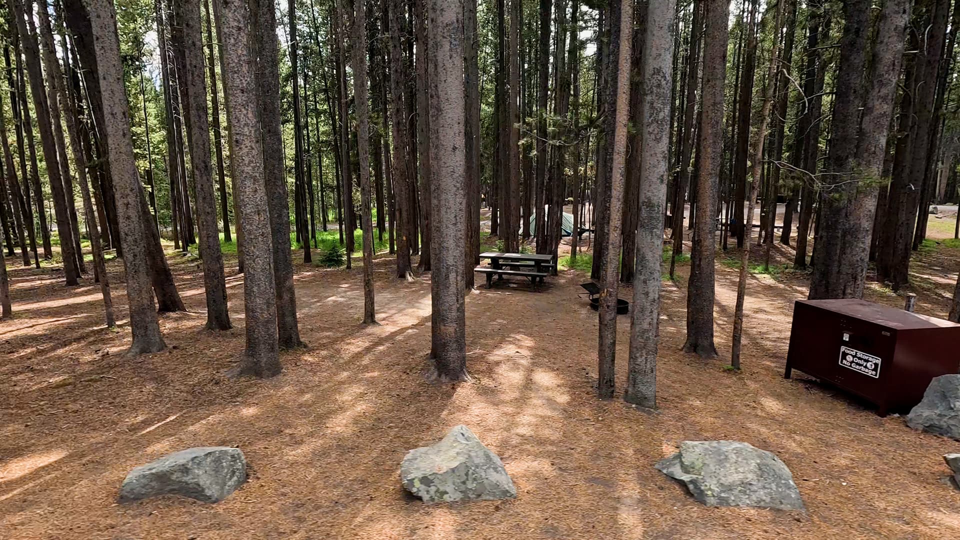 Site 77